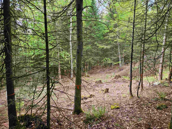 $49,000 | 35 Langway Road, Lyman, NH 03585