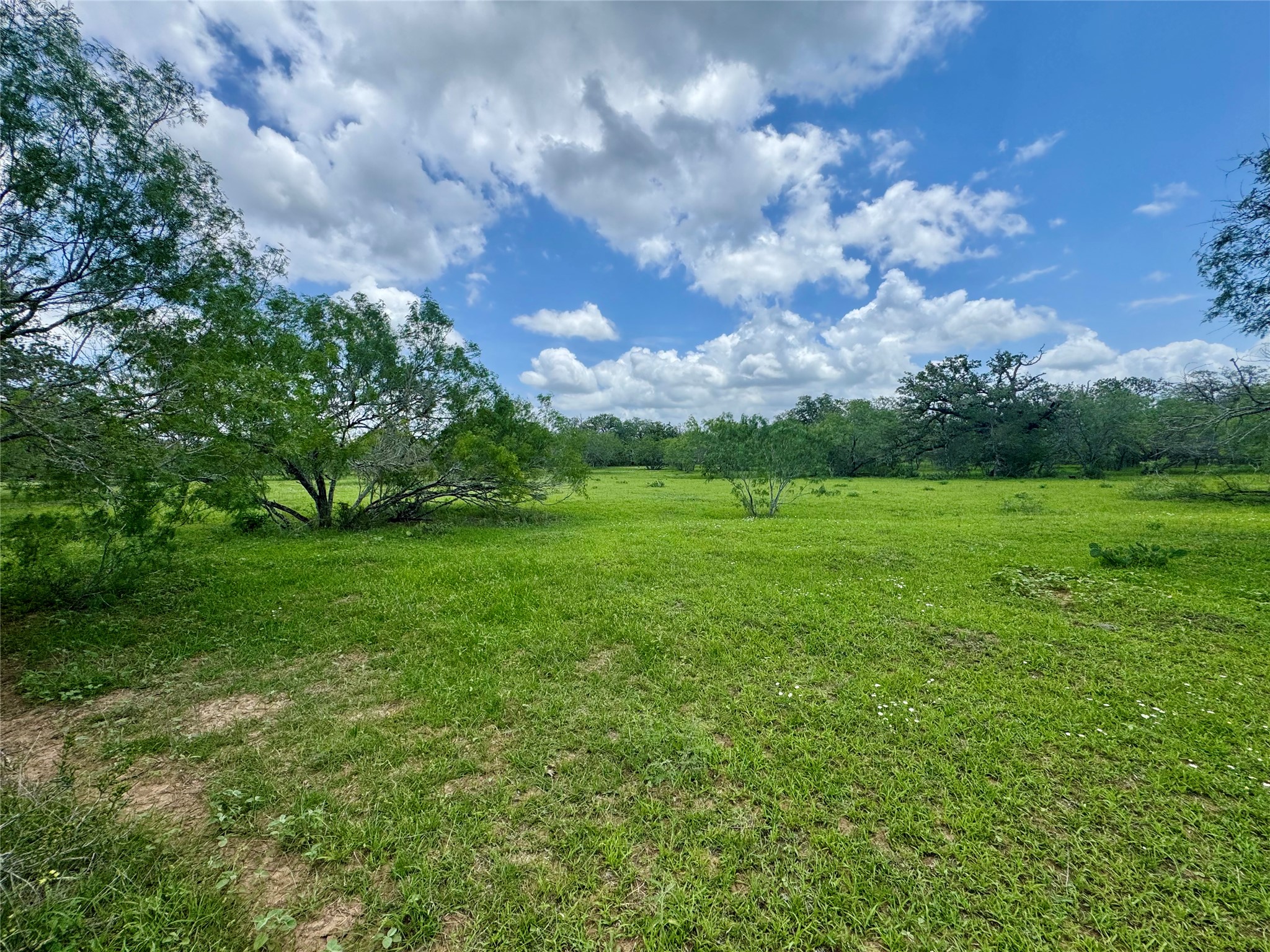 0 Batey Road Nixon, TX 78140 - Photo 5 of 13 a view of a grassy field with trees around