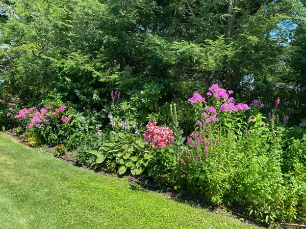 a view of a flower in a garden