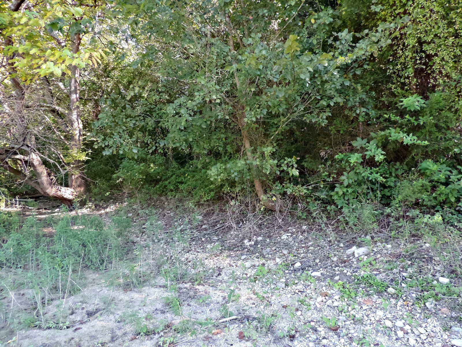 0 Lot 4 Ernie Roberts Road Rutledge, TN 37861 - Photo 6 of 8 Gallery Image 6