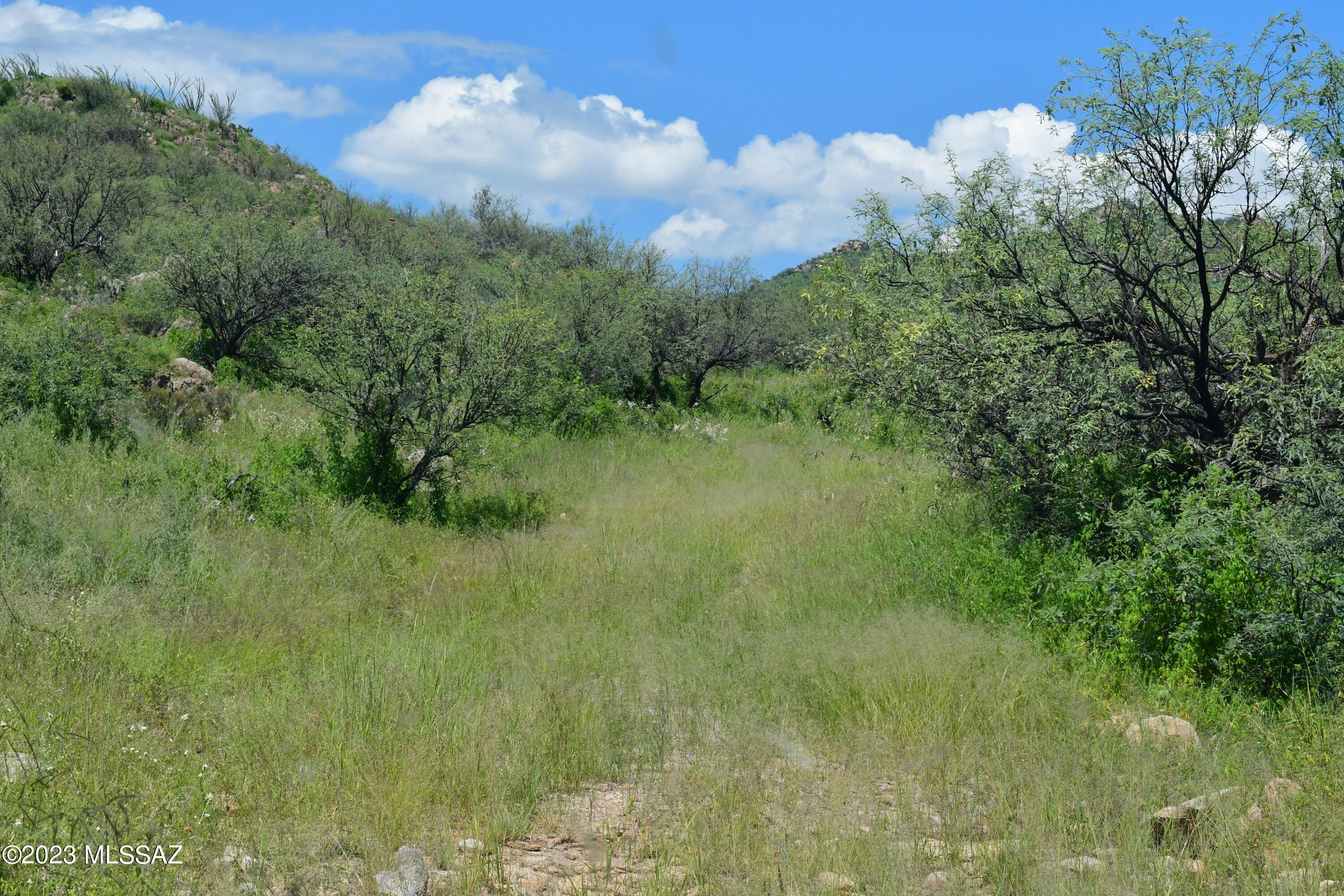 0 Mesquite Trail, Unit 131 Rio Rico, AZ 85648 - Photo 5 of 12 Gallery Image 5