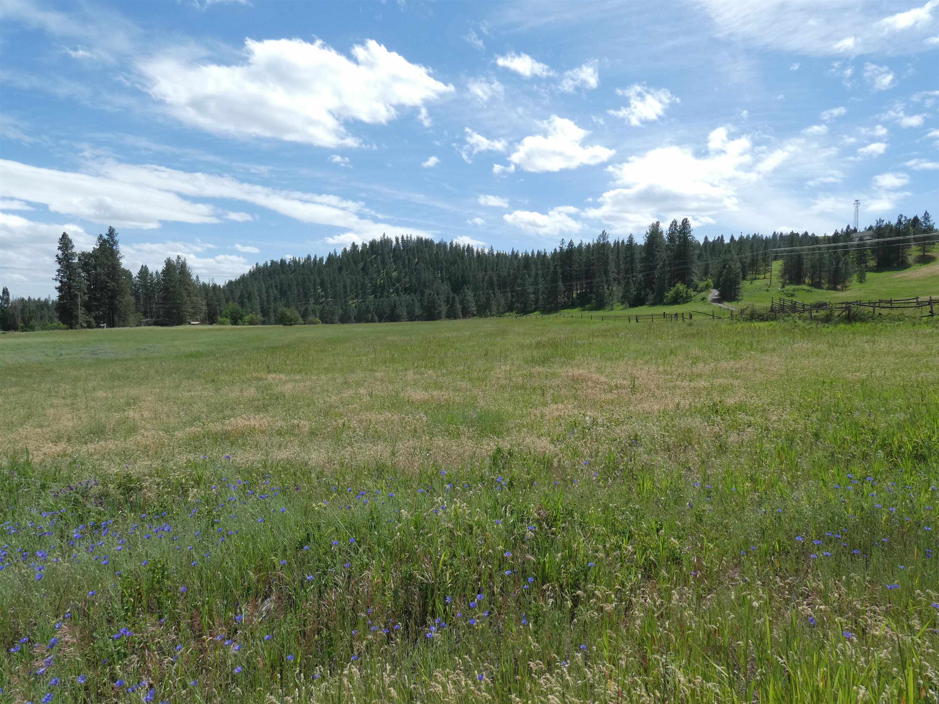 8309 West Jensen Road Cheney, WA 99004 - Photo 10 of 11