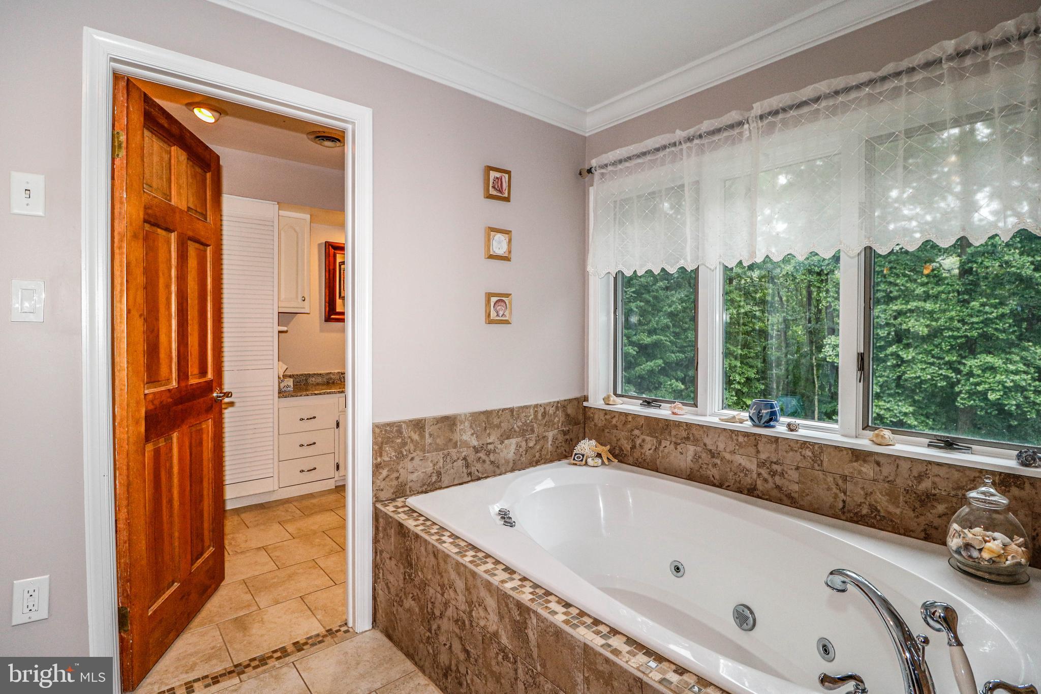131 Mountain Road Ringoes, NJ 08551 - Photo 26 of 47 Primary En-Suite Bathroom