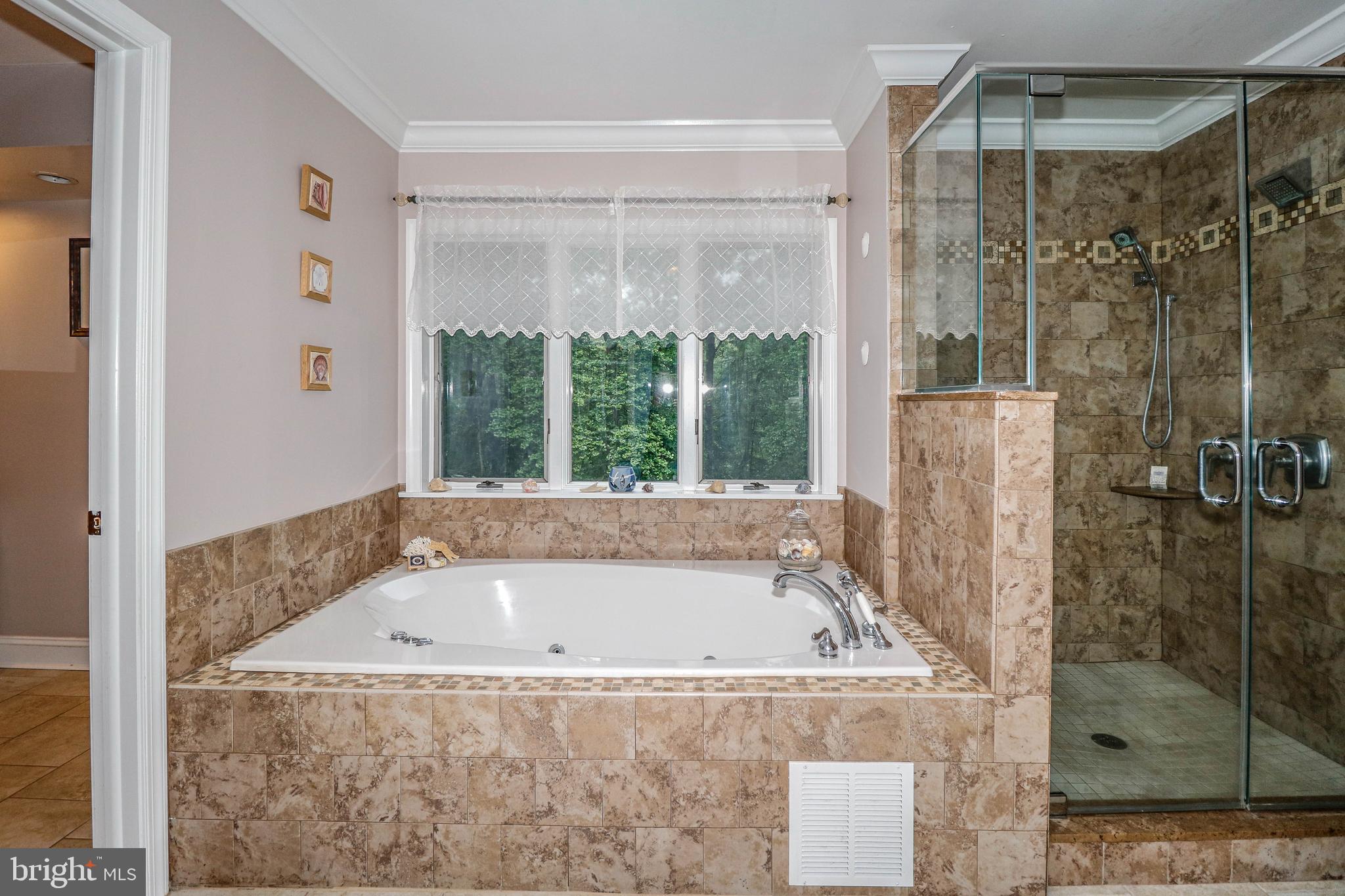 131 Mountain Road Ringoes, NJ 08551 - Photo 27 of 47 Primary jetted tub