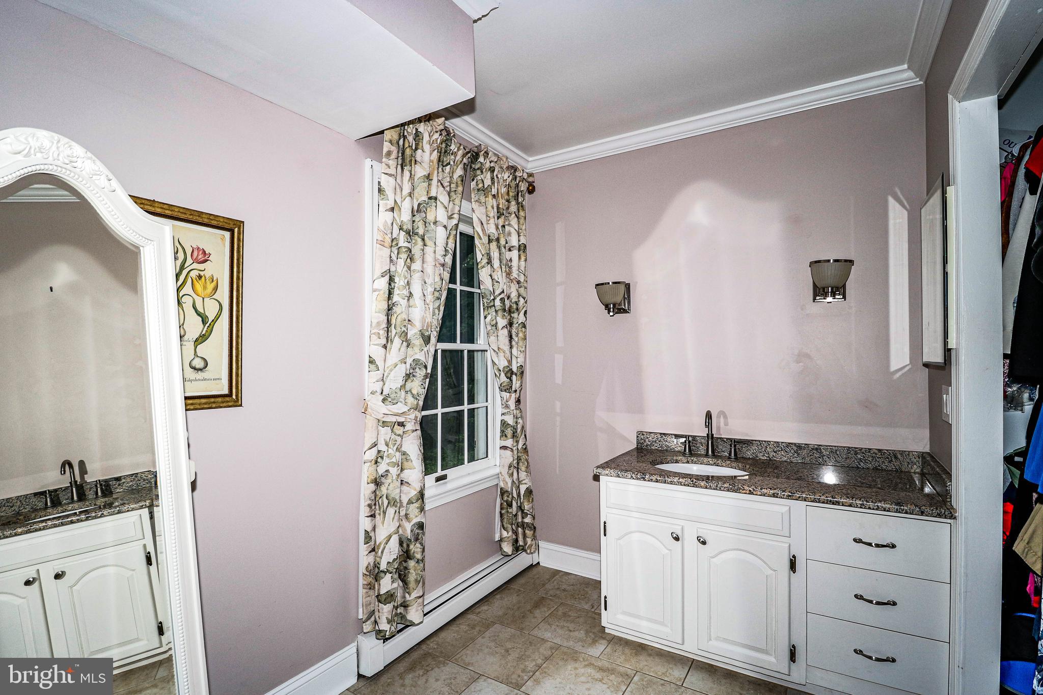 131 Mountain Road Ringoes, NJ 08551 - Photo 29 of 47 En-Suite Bathroom 2