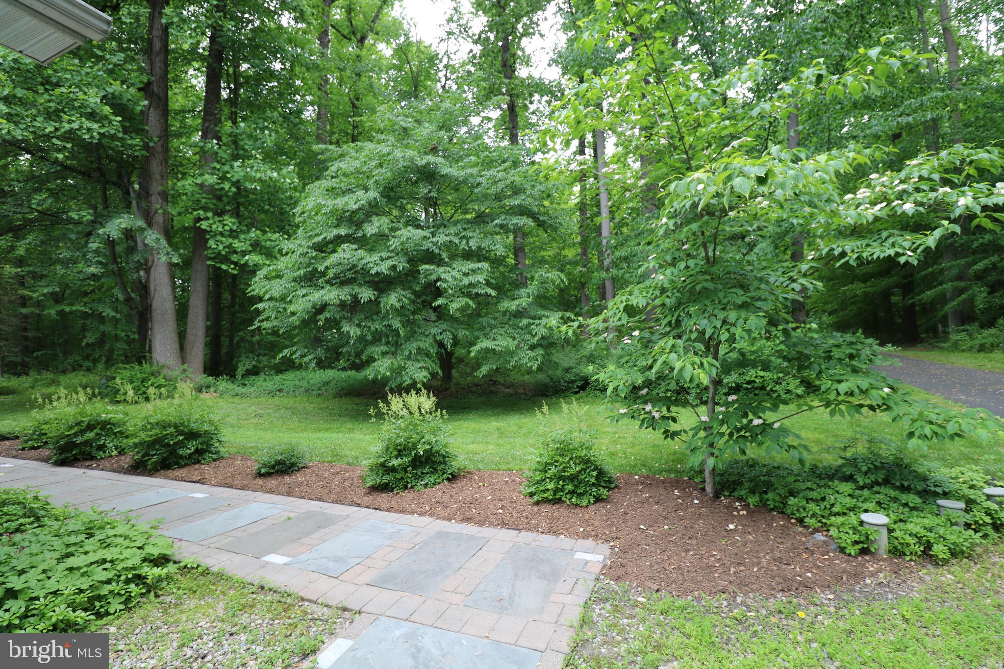 131 Mountain Road Ringoes, NJ 08551 - Photo 3 of 47 Exterior Walkway