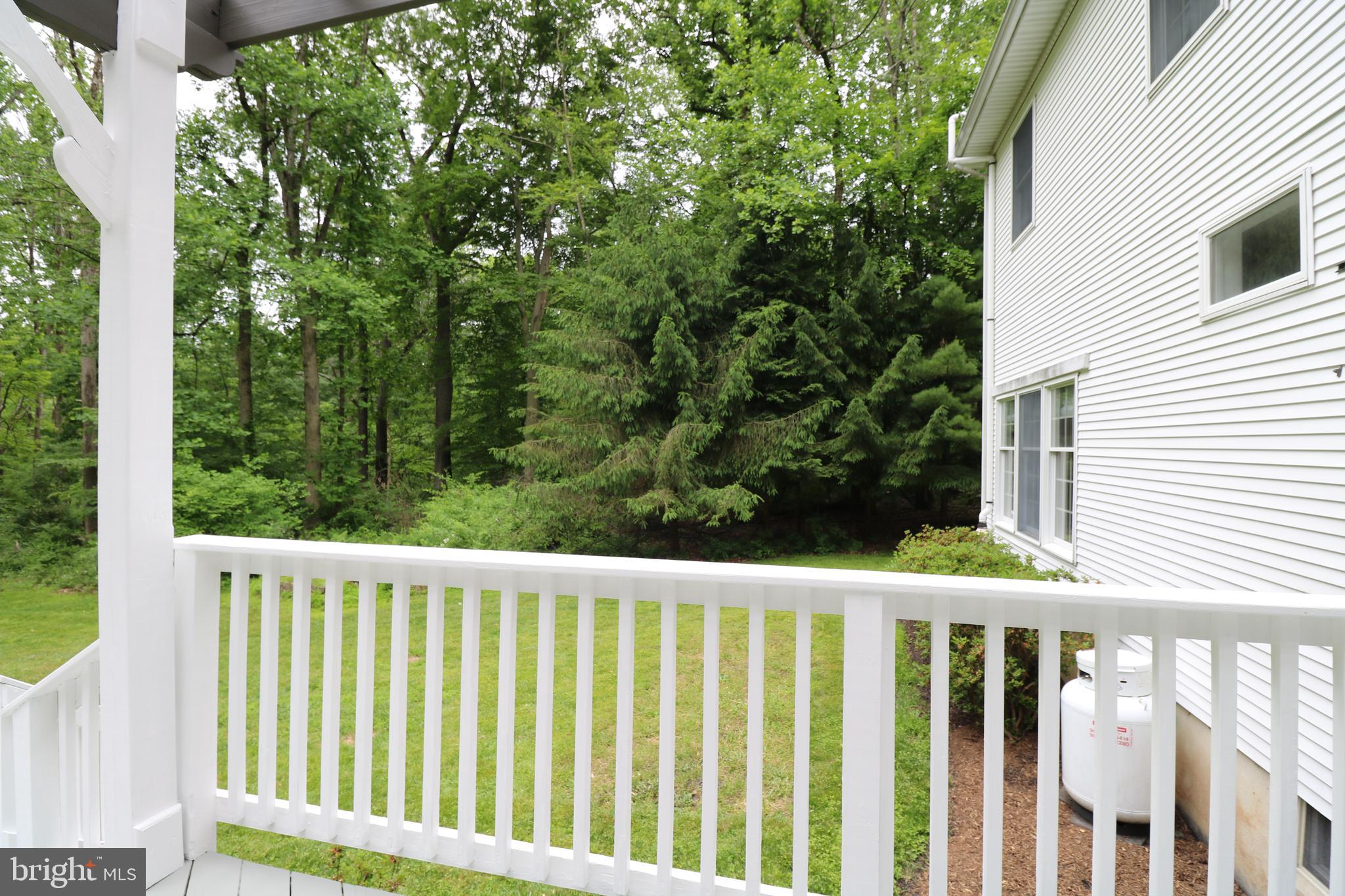 131 Mountain Road Ringoes, NJ 08551 - Photo 36 of 47 Yard View