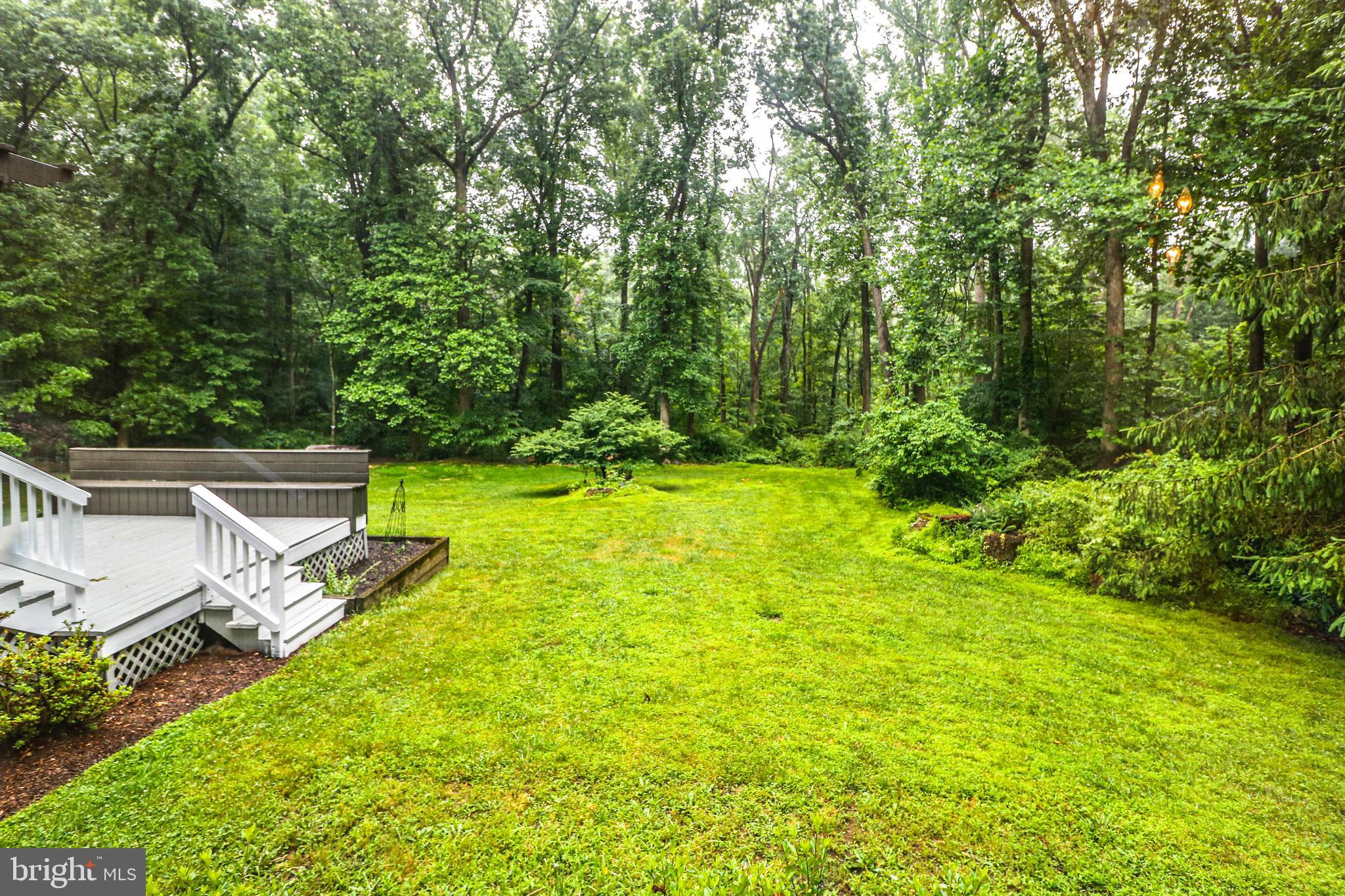 131 Mountain Road Ringoes, NJ 08551 - Photo 41 of 47 Rear Yard
