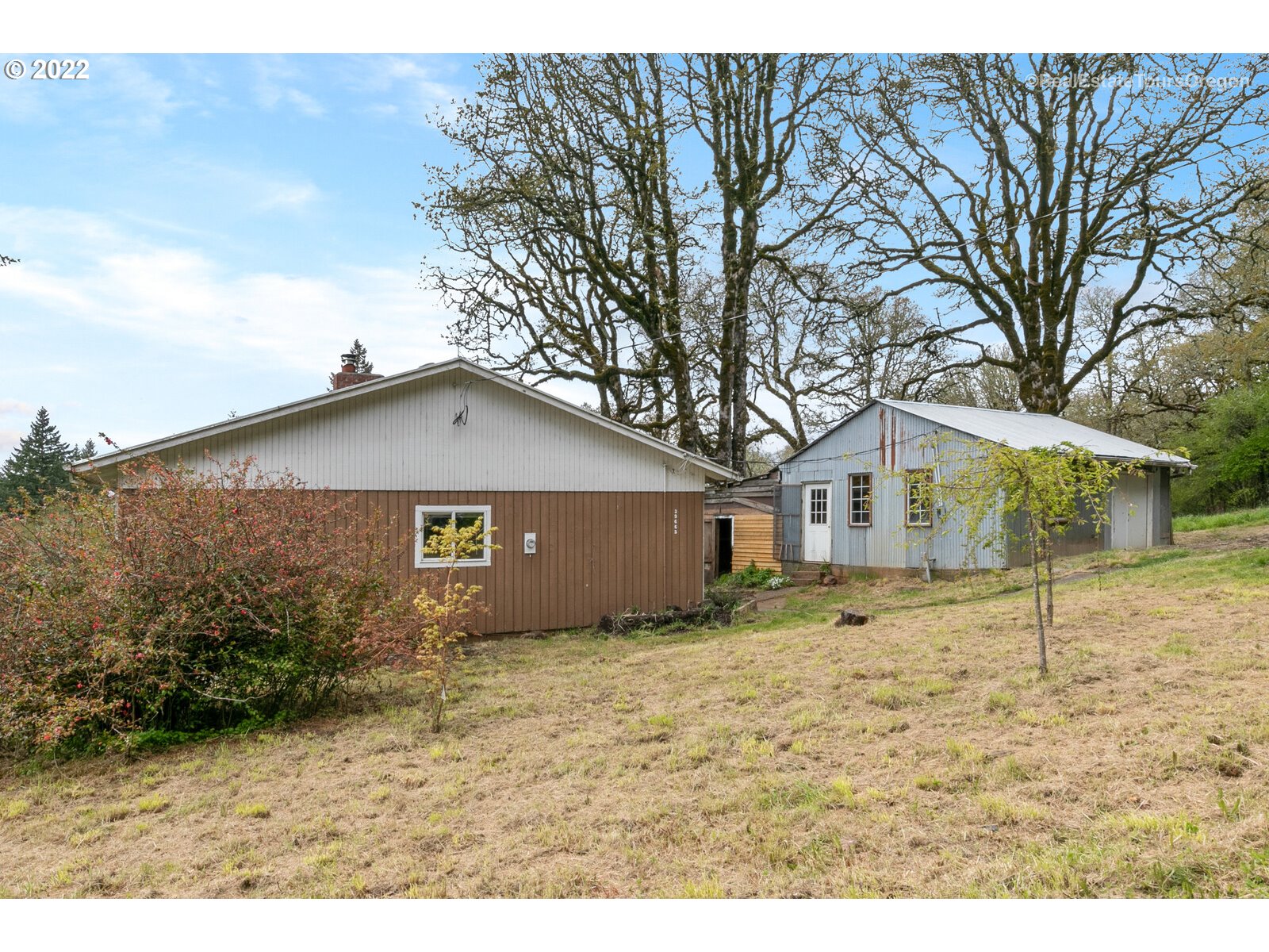 39665 Southwest Gibson Road Gaston, OR 97119 - Photo 15 of 29 a view of a yard in front of a house with large tree