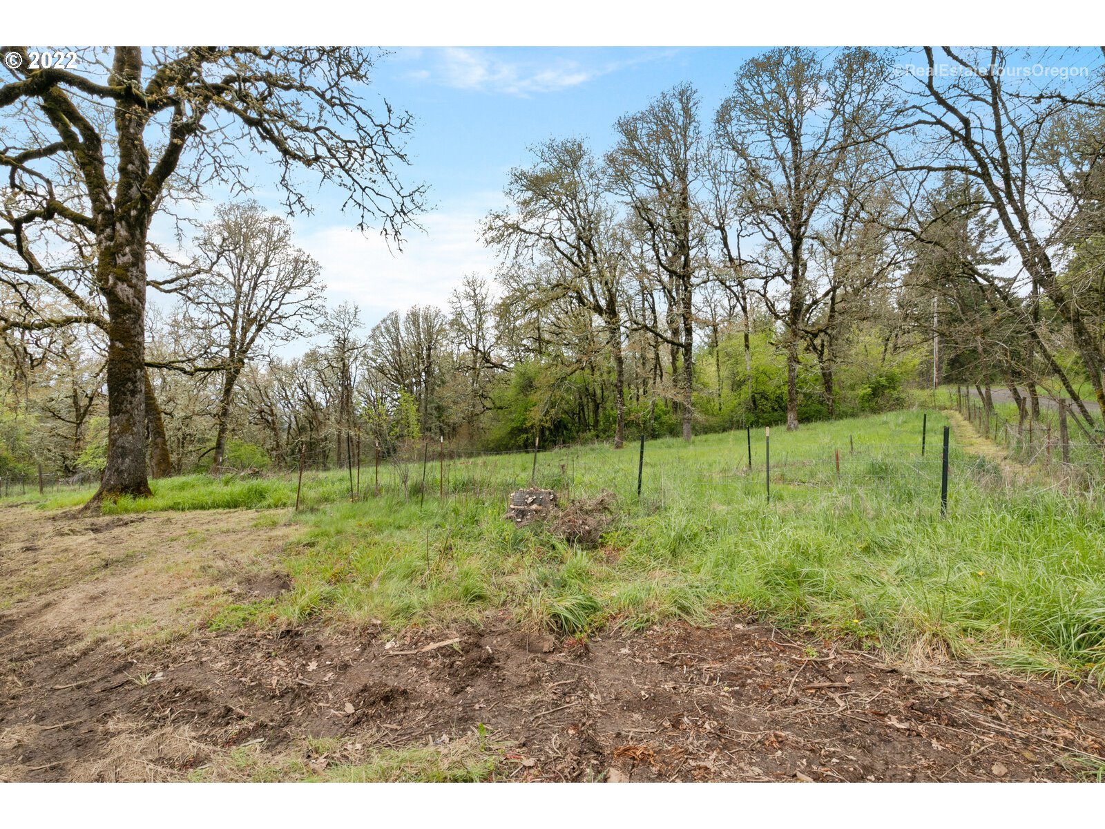 39665 Southwest Gibson Road Gaston, OR 97119 - Photo 19 of 29 a view of a yard