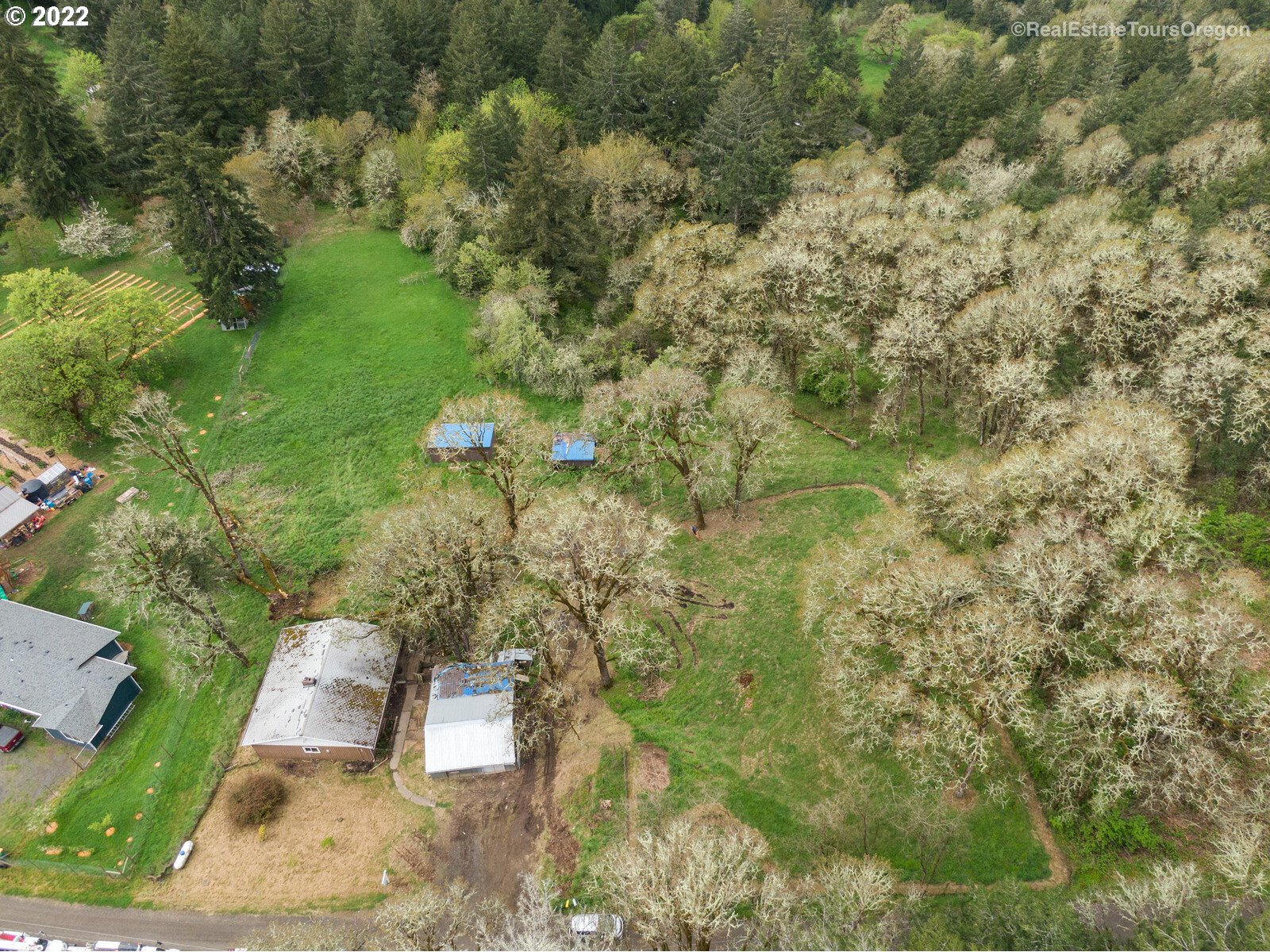 39665 Southwest Gibson Road Gaston, OR 97119 - Photo 20 of 29 a view of a yard with plants