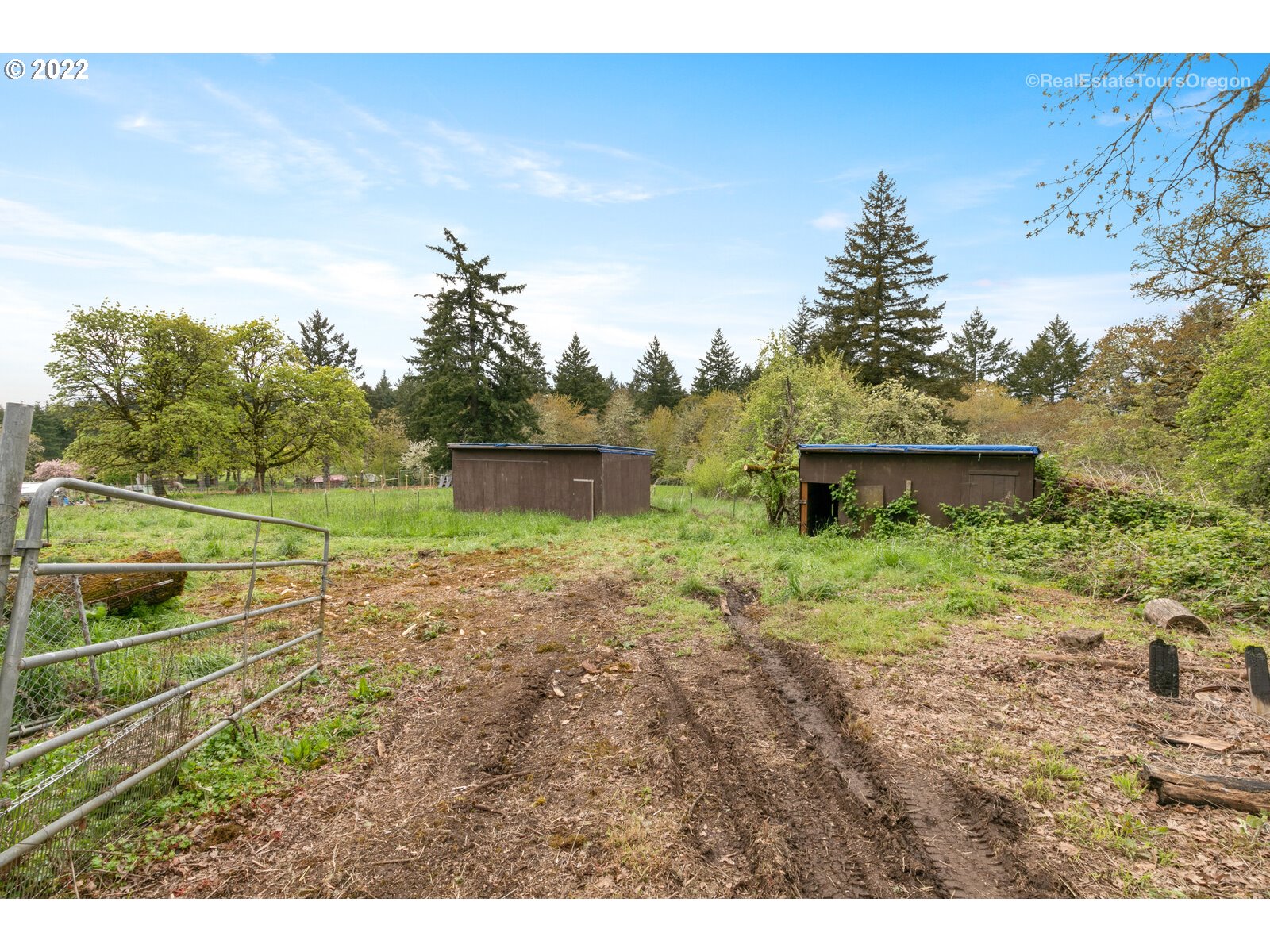 39665 Southwest Gibson Road Gaston, OR 97119 - Photo 24 of 29