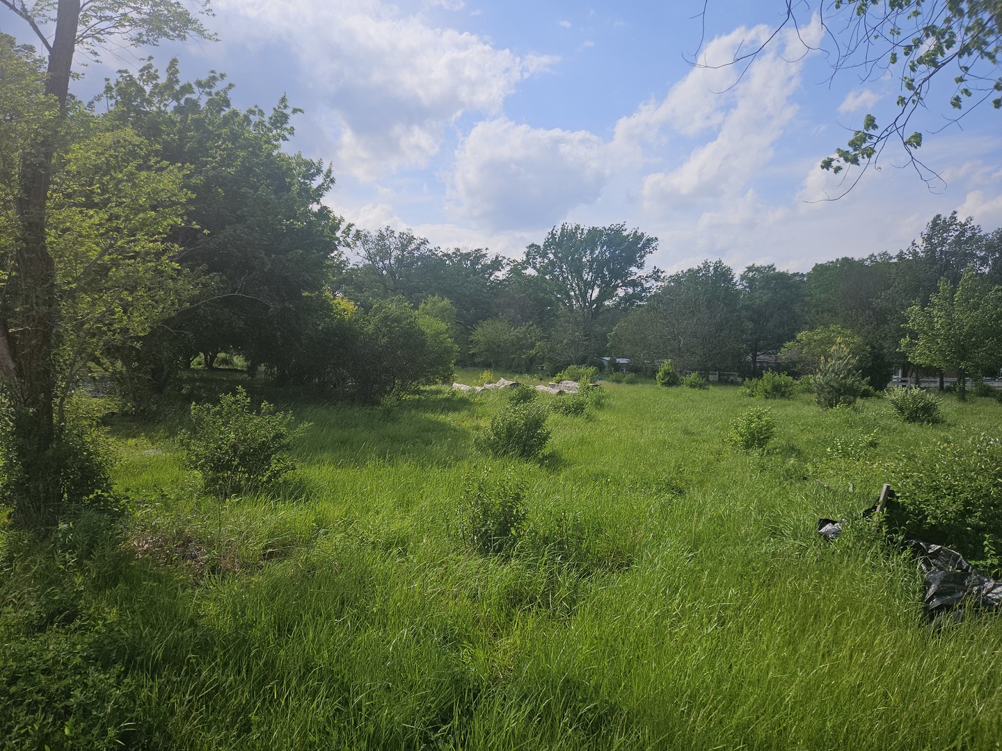 24232 Kings Road Crete, IL 60417 - Photo 5 of 11 a view of a lush green space