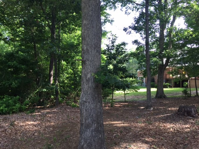 99-101 Stagecoach Road Thomson, GA 30824 - Photo 3 of 7