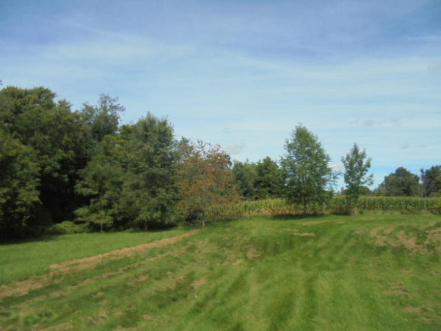 1650 Kingston Road Ionia, MI 48846 - Photo 18 of 18 DSC00592