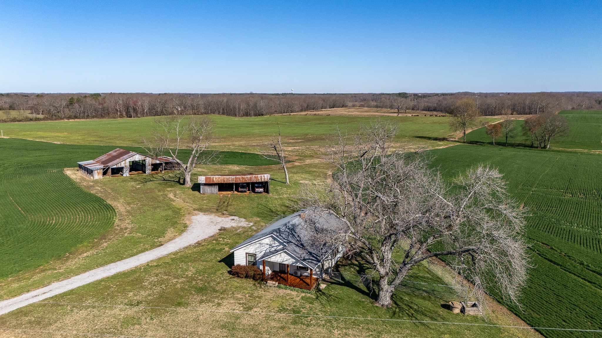 48 Idaho Road Leoma, TN 38468 - Photo 12 of 41 a view of a lake with a yard