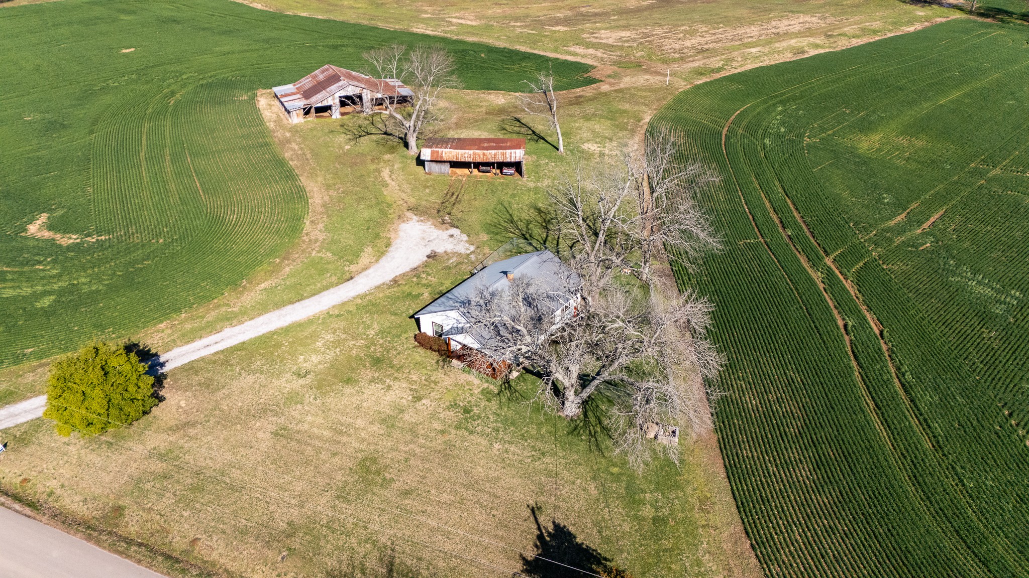 48 Idaho Road Leoma, TN 38468 - Photo 13 of 41 a view of water heater room