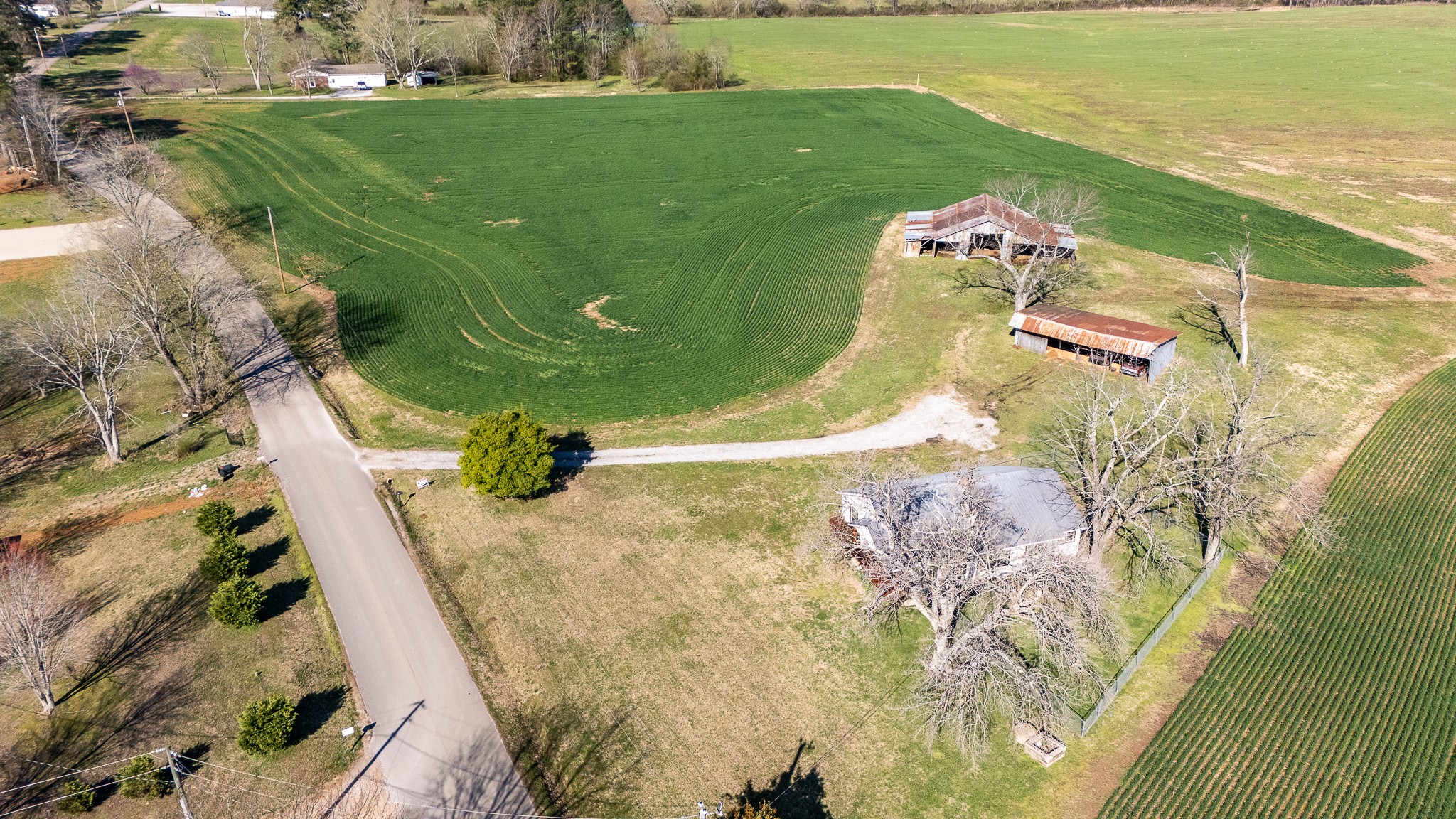 48 Idaho Road Leoma, TN 38468 - Photo 14 of 41 a view of a swimming pool and an outdoor space