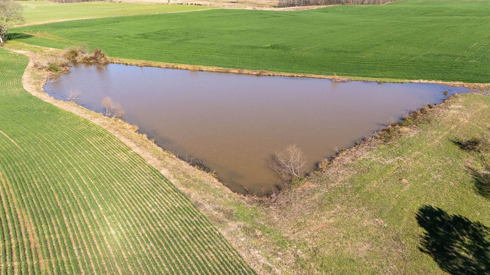48 Idaho Road Leoma, TN 38468 - Photo 25 of 41 a view of a lake with a yard