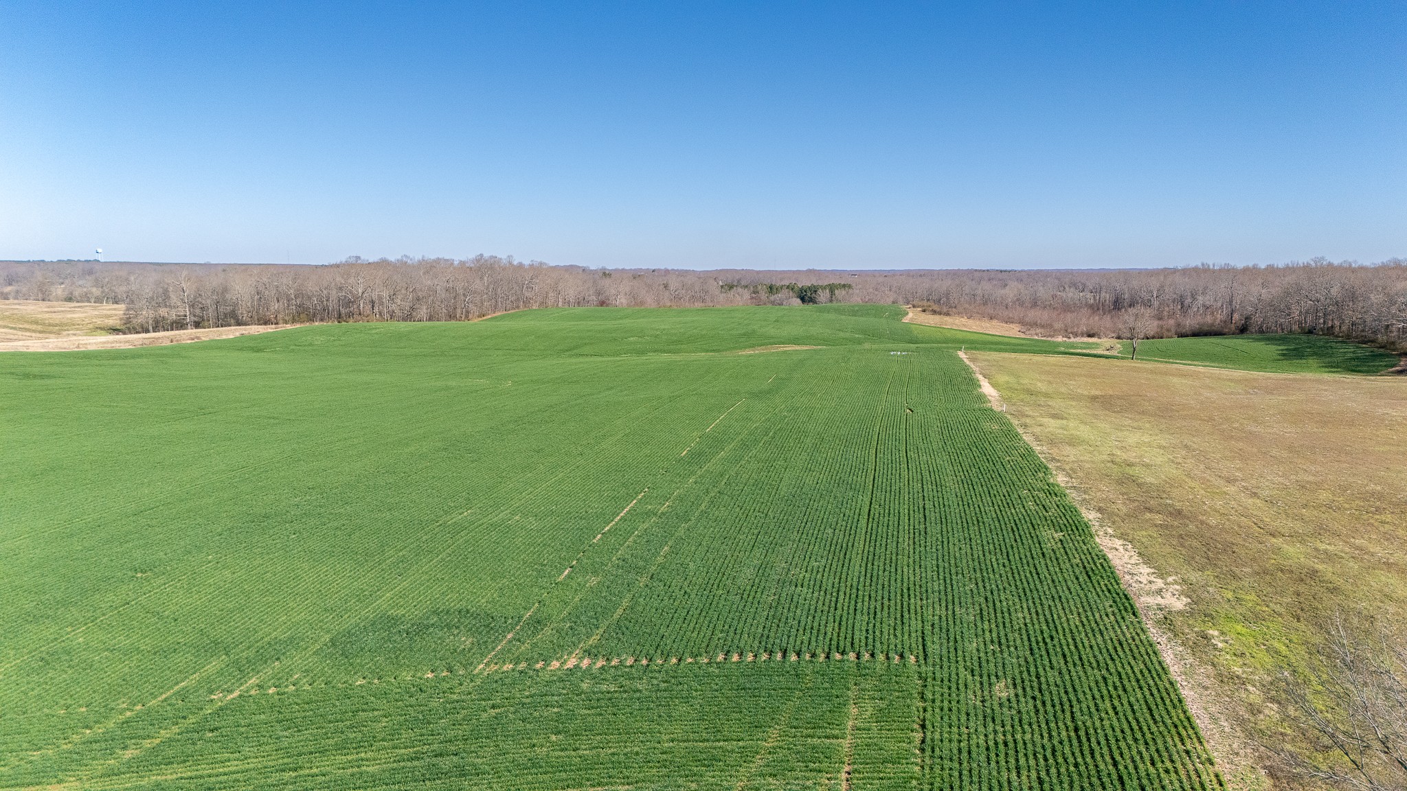 48 Idaho Road Leoma, TN 38468 - Photo 28 of 41 a view of a green field with clear sky