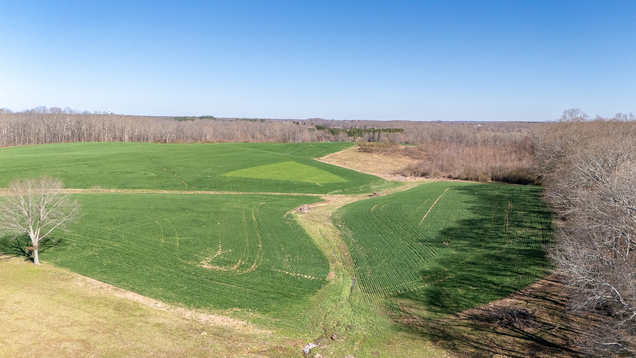 48 Idaho Road Leoma, TN 38468 - Photo 29 of 41 a view of a field with a building in the background