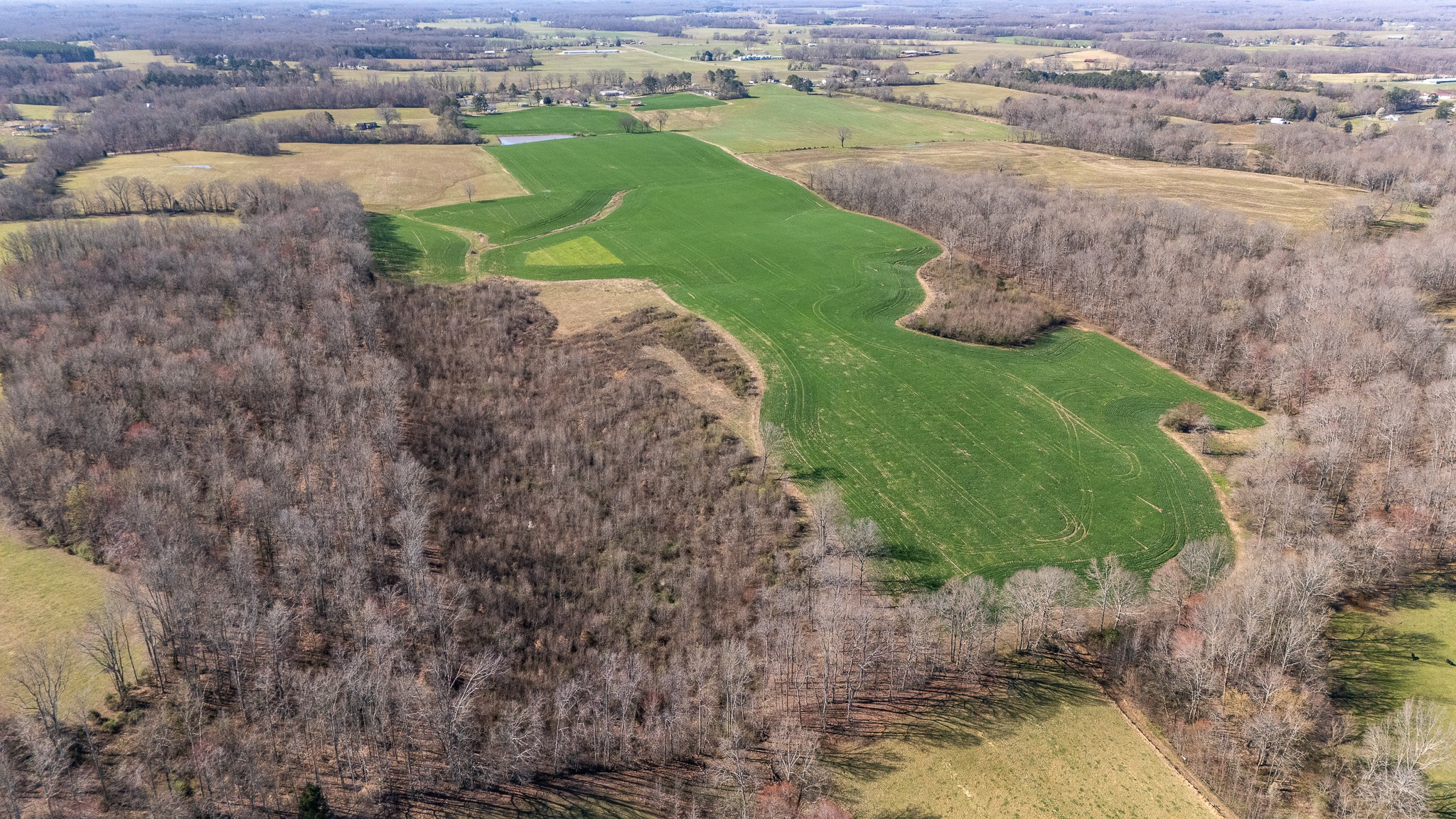 48 Idaho Road Leoma, TN 38468 - Photo 32 of 41 an aerial view of a houses with a yard