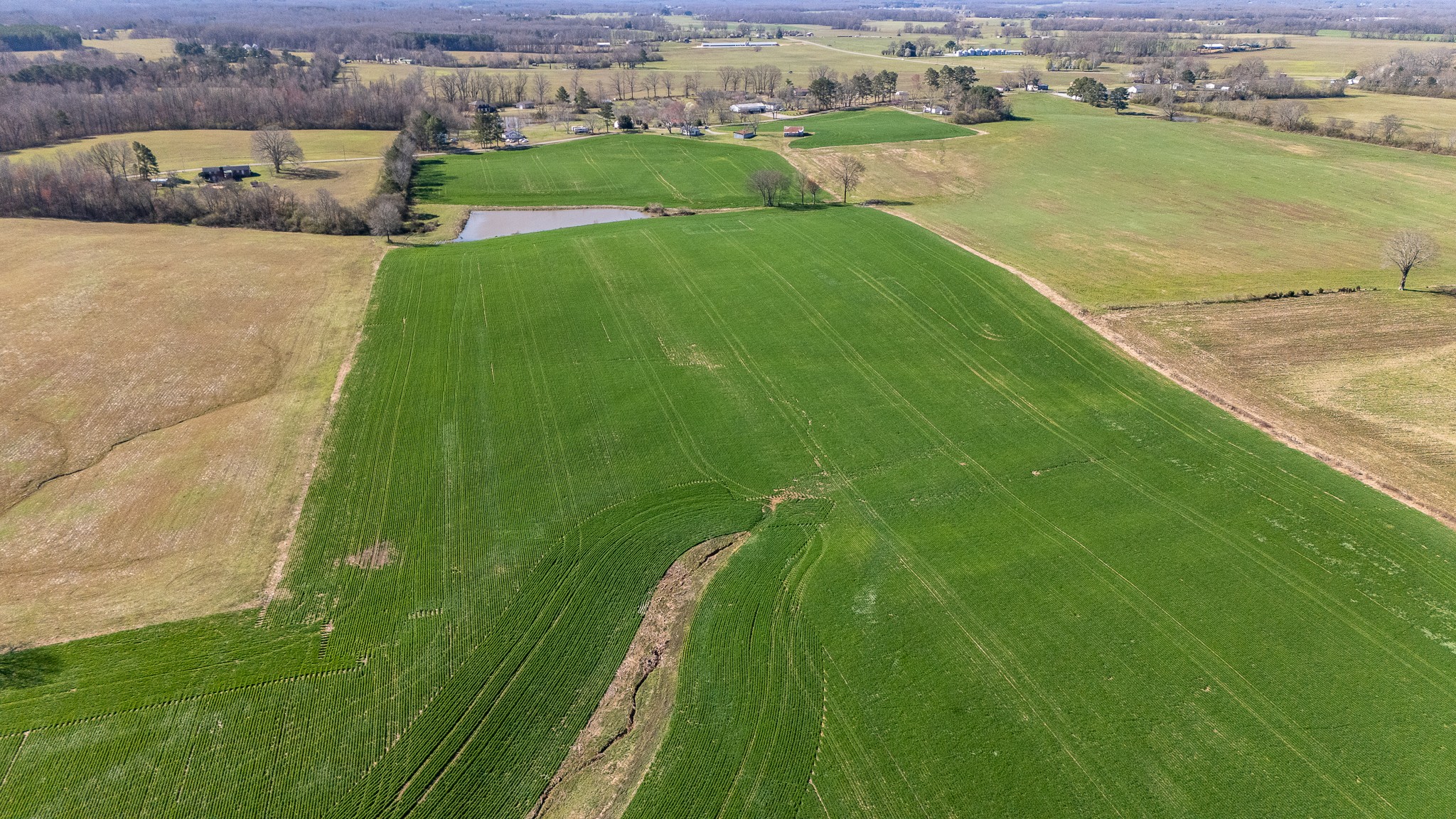 48 Idaho Road Leoma, TN 38468 - Photo 34 of 41 a view of a city