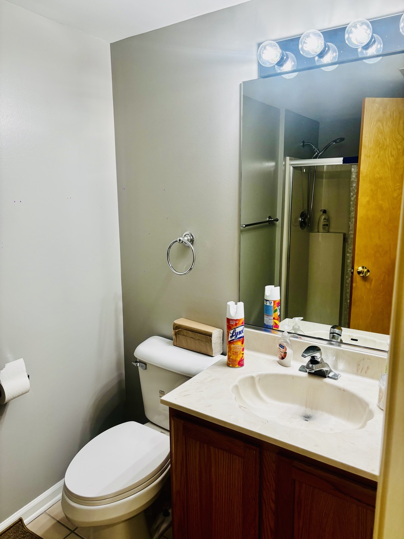 6238 West 26th Street, Unit 201 Berwyn, IL 60402 - Photo 14 of 30 a bathroom with a sink and a mirror