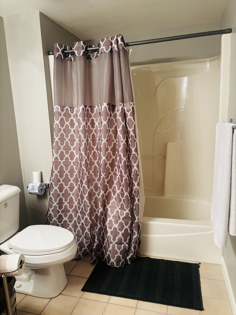 6238 West 26th Street, Unit 201 Berwyn, IL 60402 - Photo 17 of 30 a bathroom with a toilet and a shower