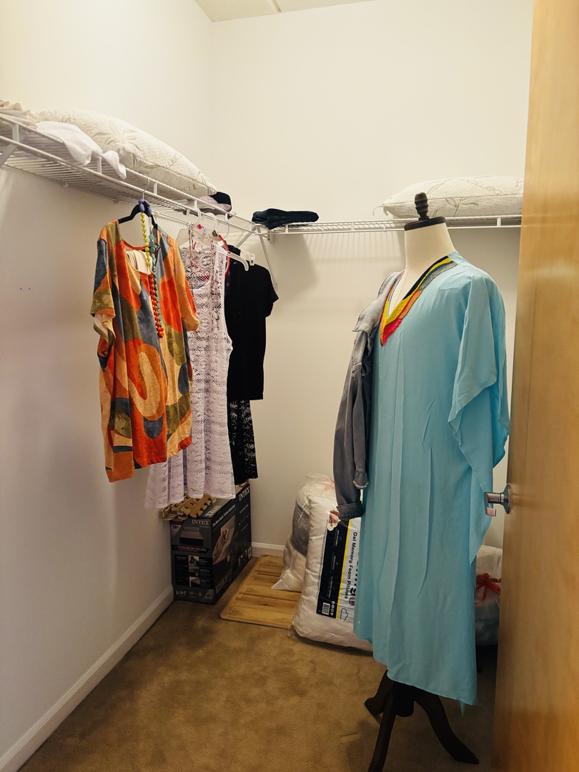 6238 West 26th Street, Unit 201 Berwyn, IL 60402 - Photo 18 of 30 a view of walk in closet with clothes and shoes
