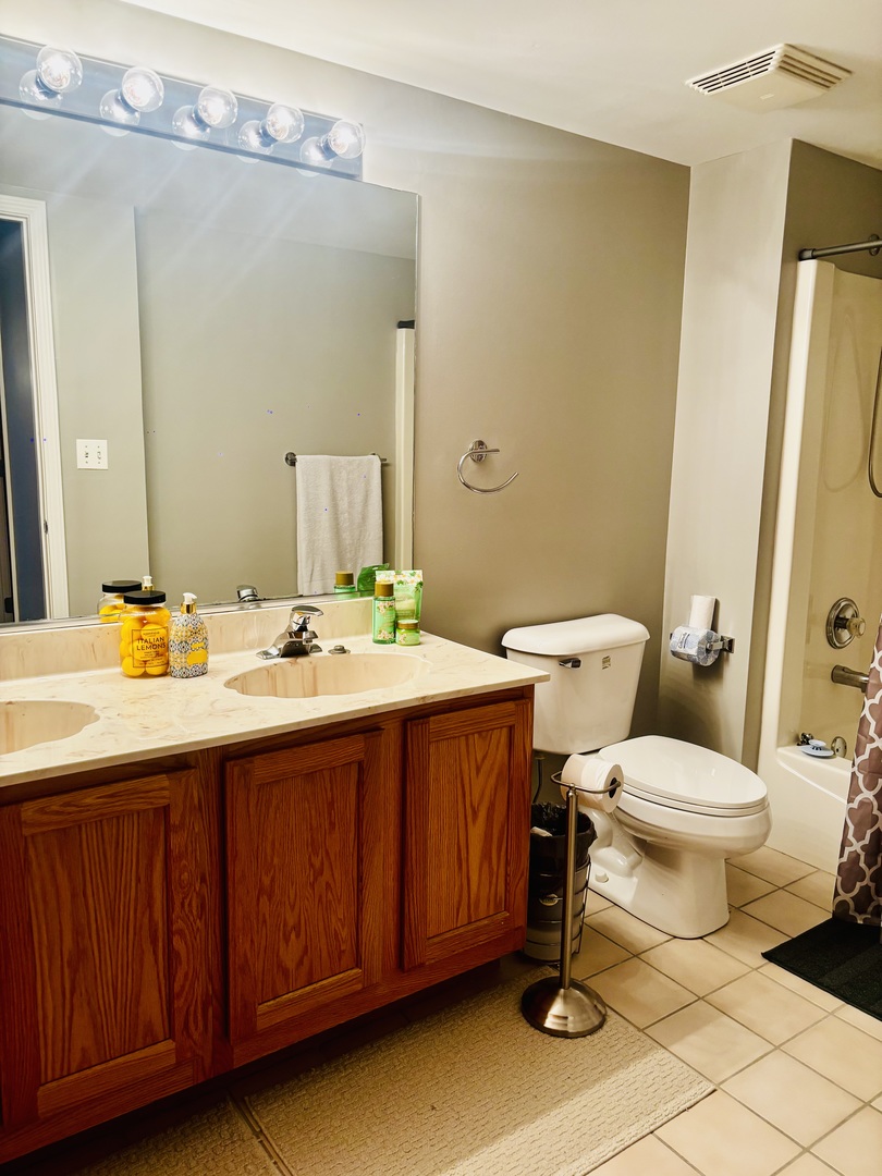 6238 West 26th Street, Unit 201 Berwyn, IL 60402 - Photo 19 of 30 a bathroom with a toilet sink and mirror