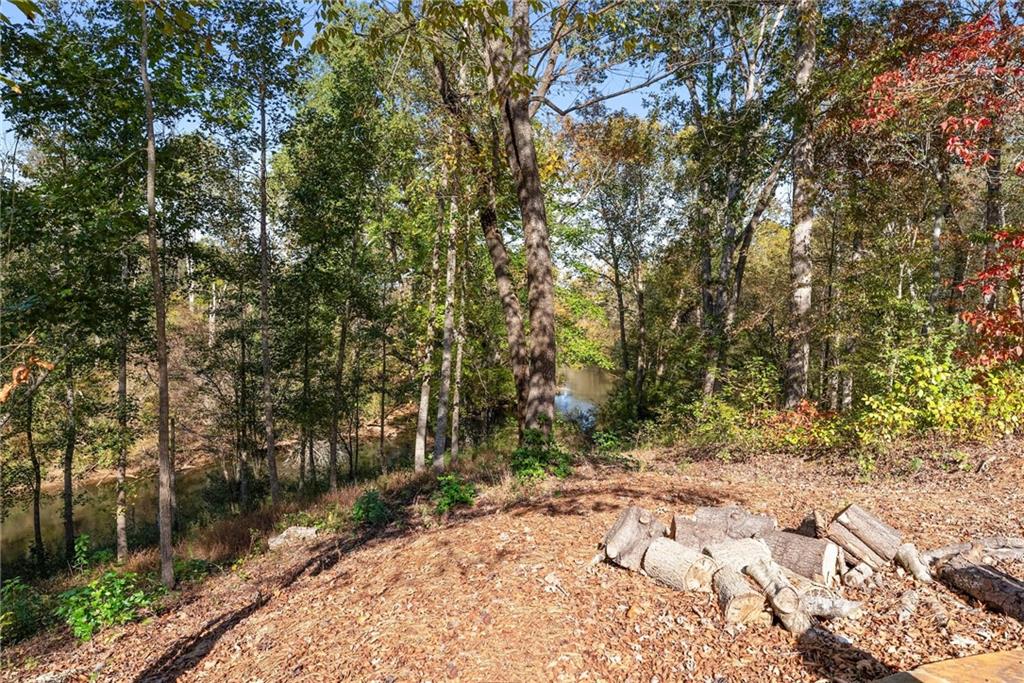 8055 Veranda Curve Ball Ground, GA 30107 - Photo 54 of 65 a view of a yard with plants and trees