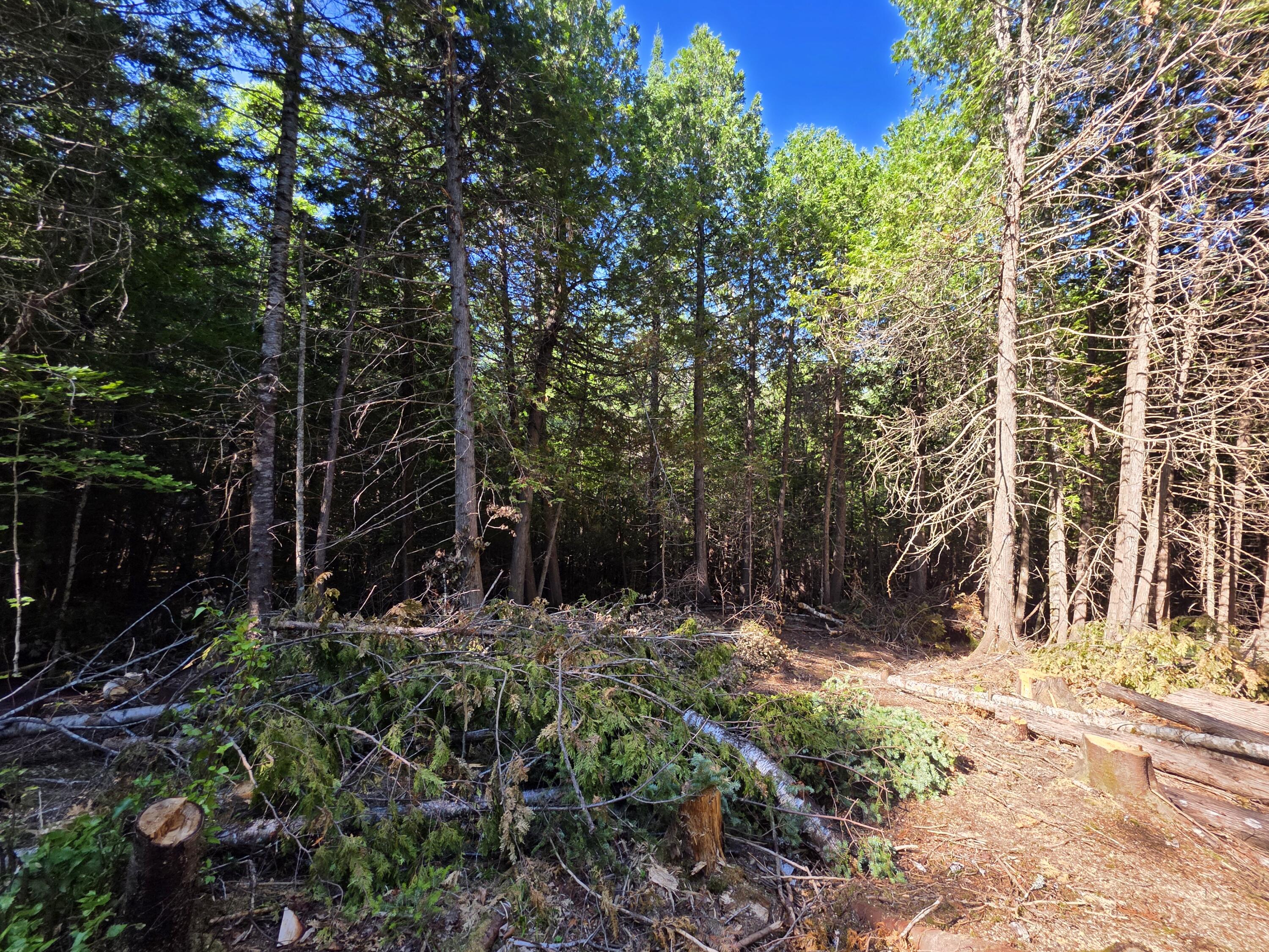 36 South Road Lee, ME 04455 - Photo 14 of 23 20250718_161011