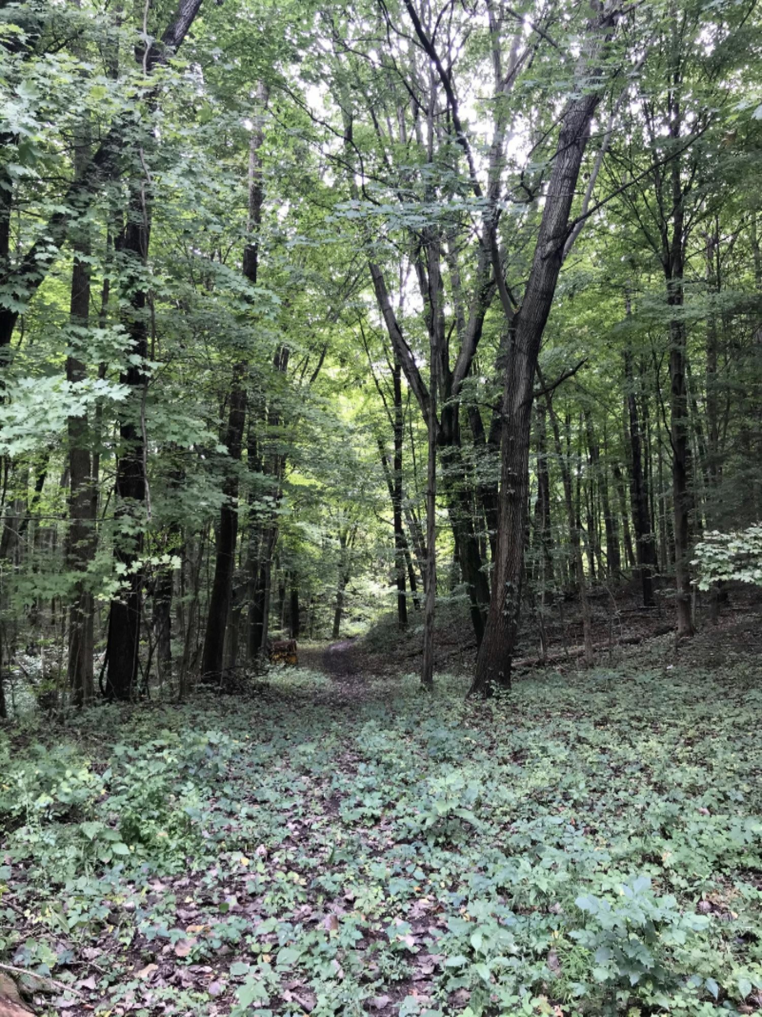 A Spring Hill Road Coloma, MI 49038 - Photo 19 of 29 E27B0138-1840-4BE7-AC33-6D4426A0BE77
