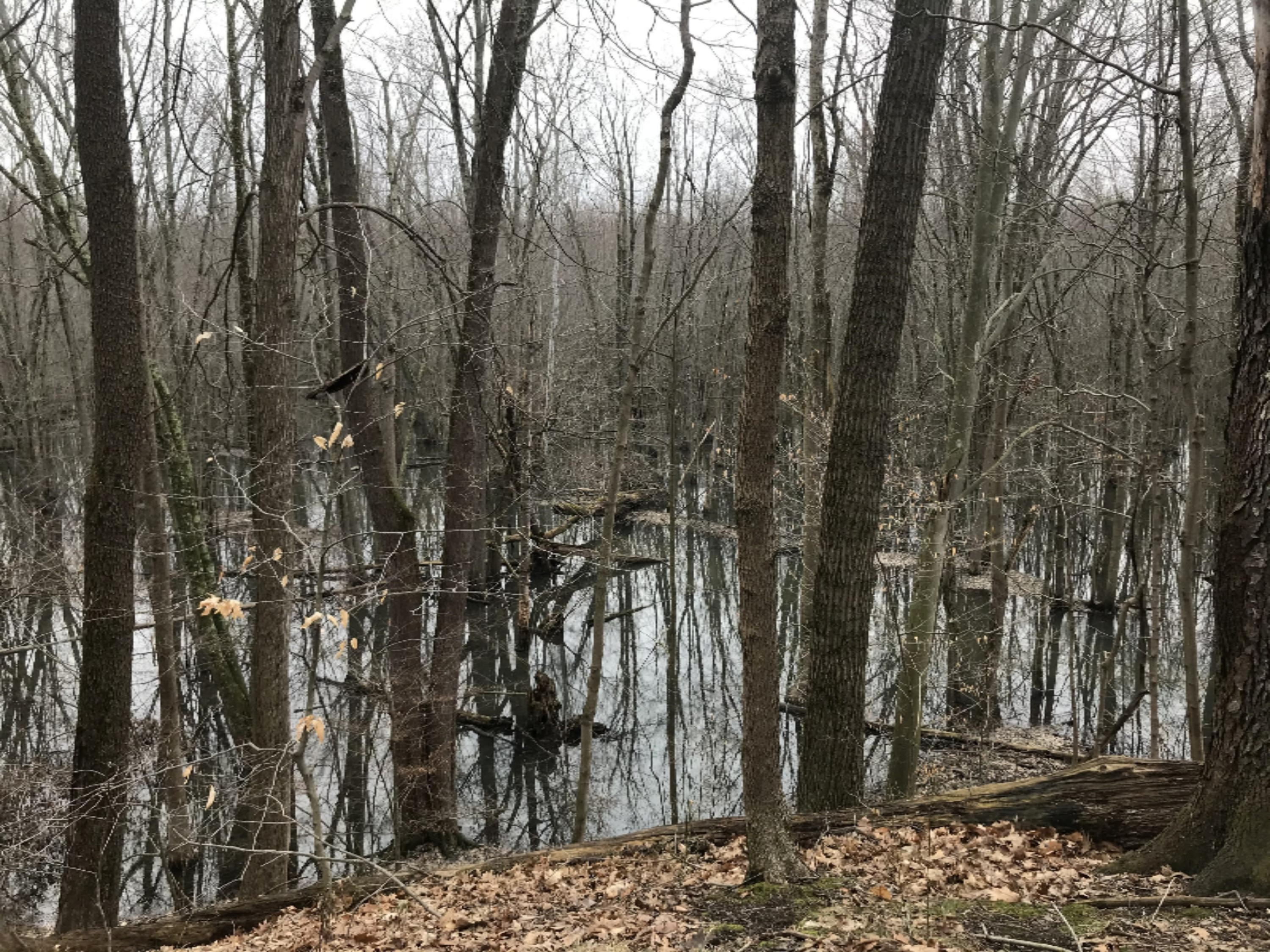 A Spring Hill Road Coloma, MI 49038 - Photo 22 of 29 IMG_3243