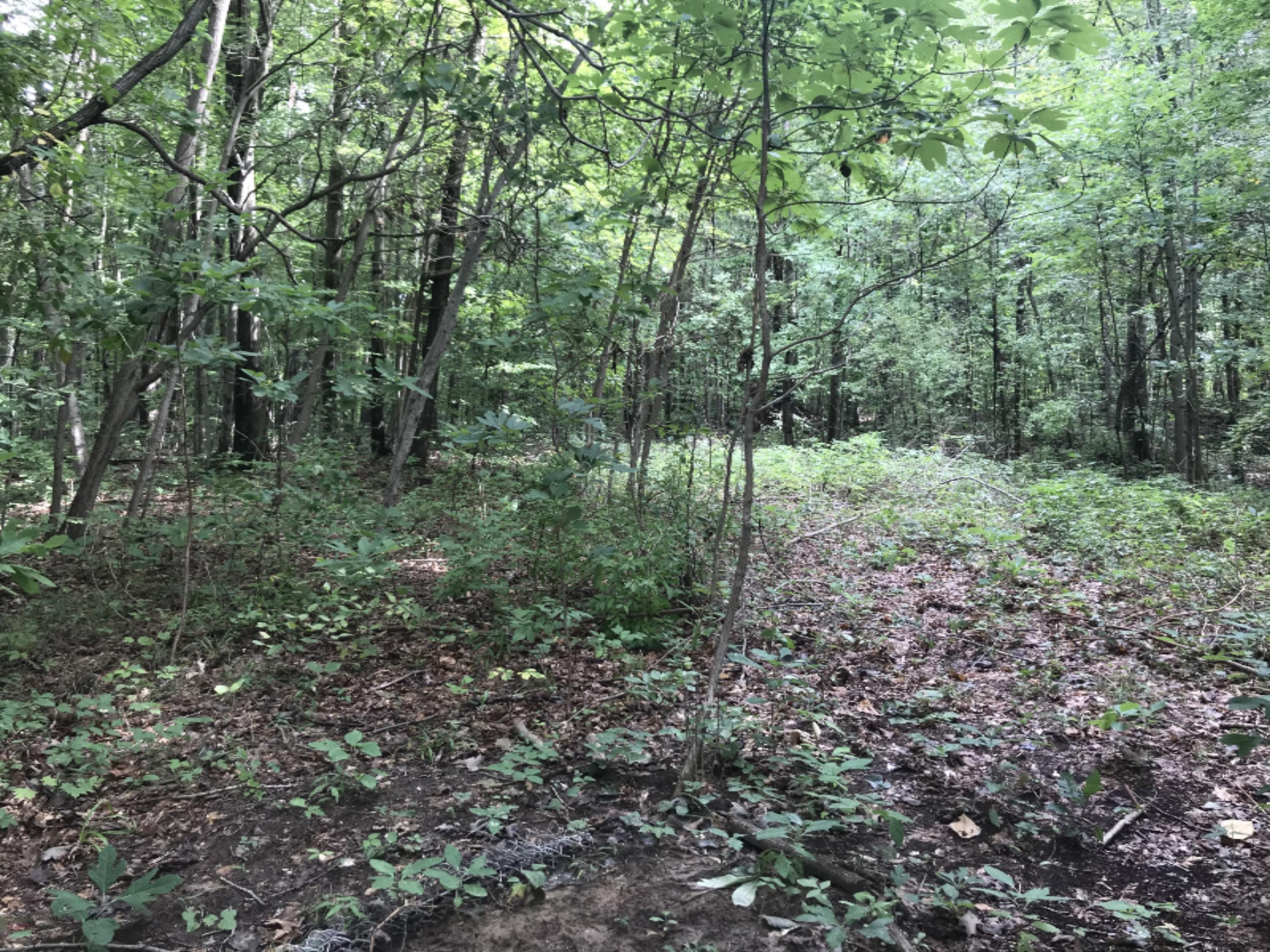 A Spring Hill Road Coloma, MI 49038 - Photo 29 of 29 8E5D6E4E-27BA-427D-97C6-A7F61A6A4CEF