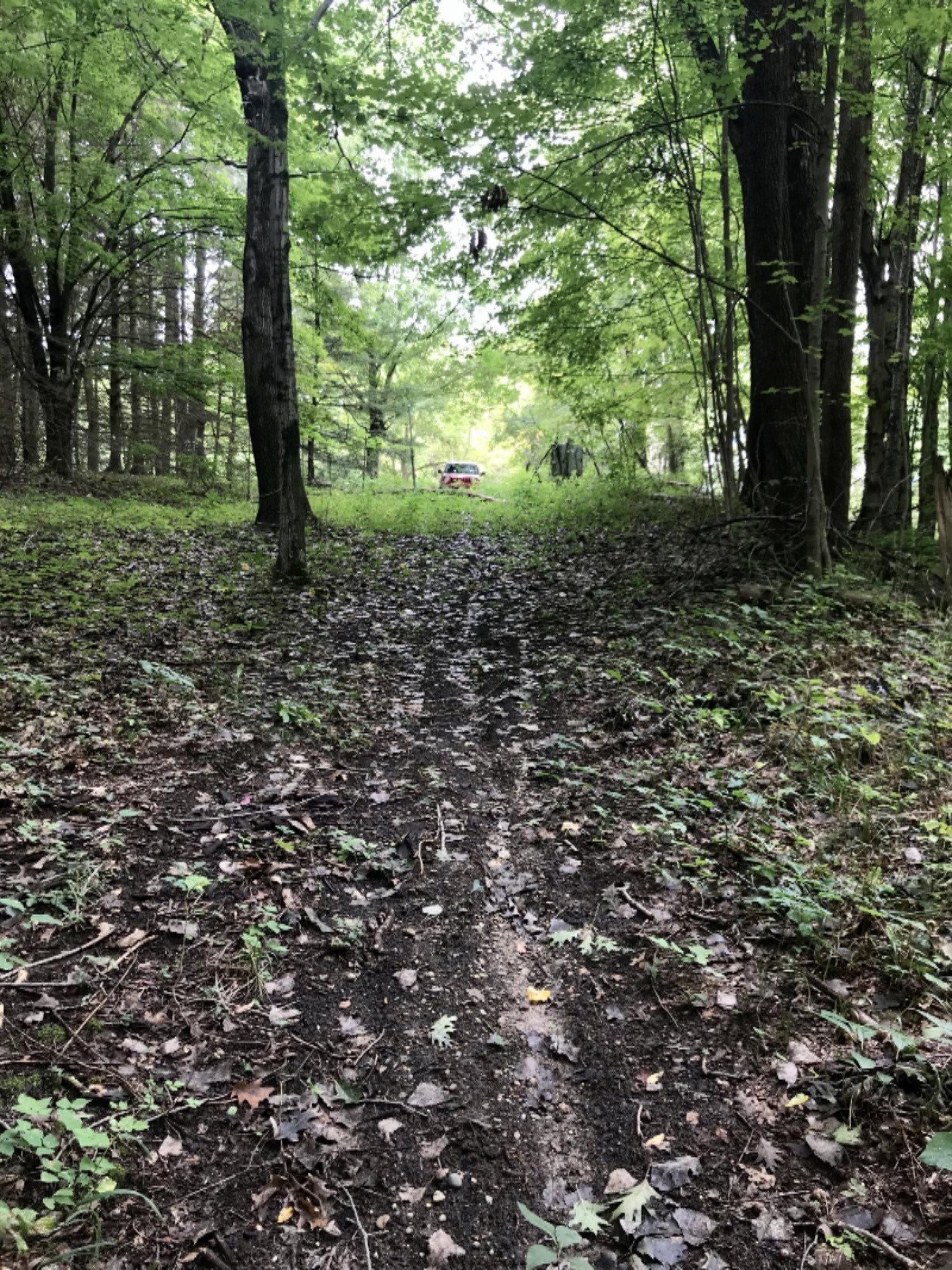A Spring Hill Road Coloma, MI 49038 - Photo 5 of 29 30F3B197-0FE7-4A50-866E-CBC8A8C18142