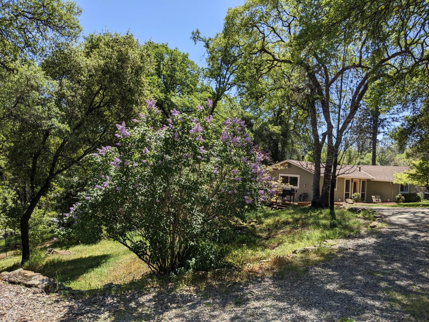 10601 Lime Kiln Road Grass Valley, CA 95949 - Photo 71 of 79