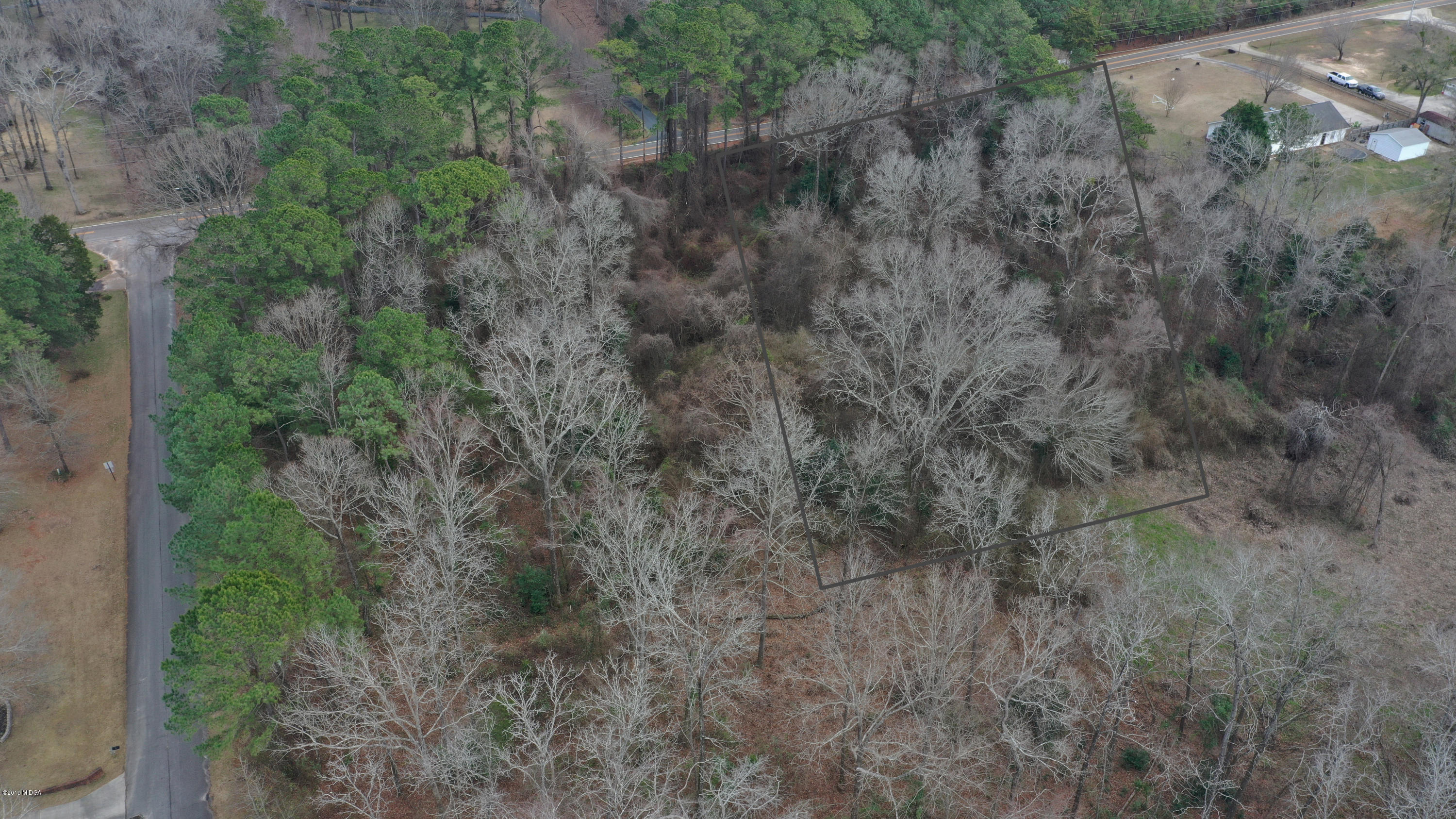 Lot 16 Housers Mill Road Fort Valley, GA 31030 - Photo 14 of 19 a view of a forest with trees in the background