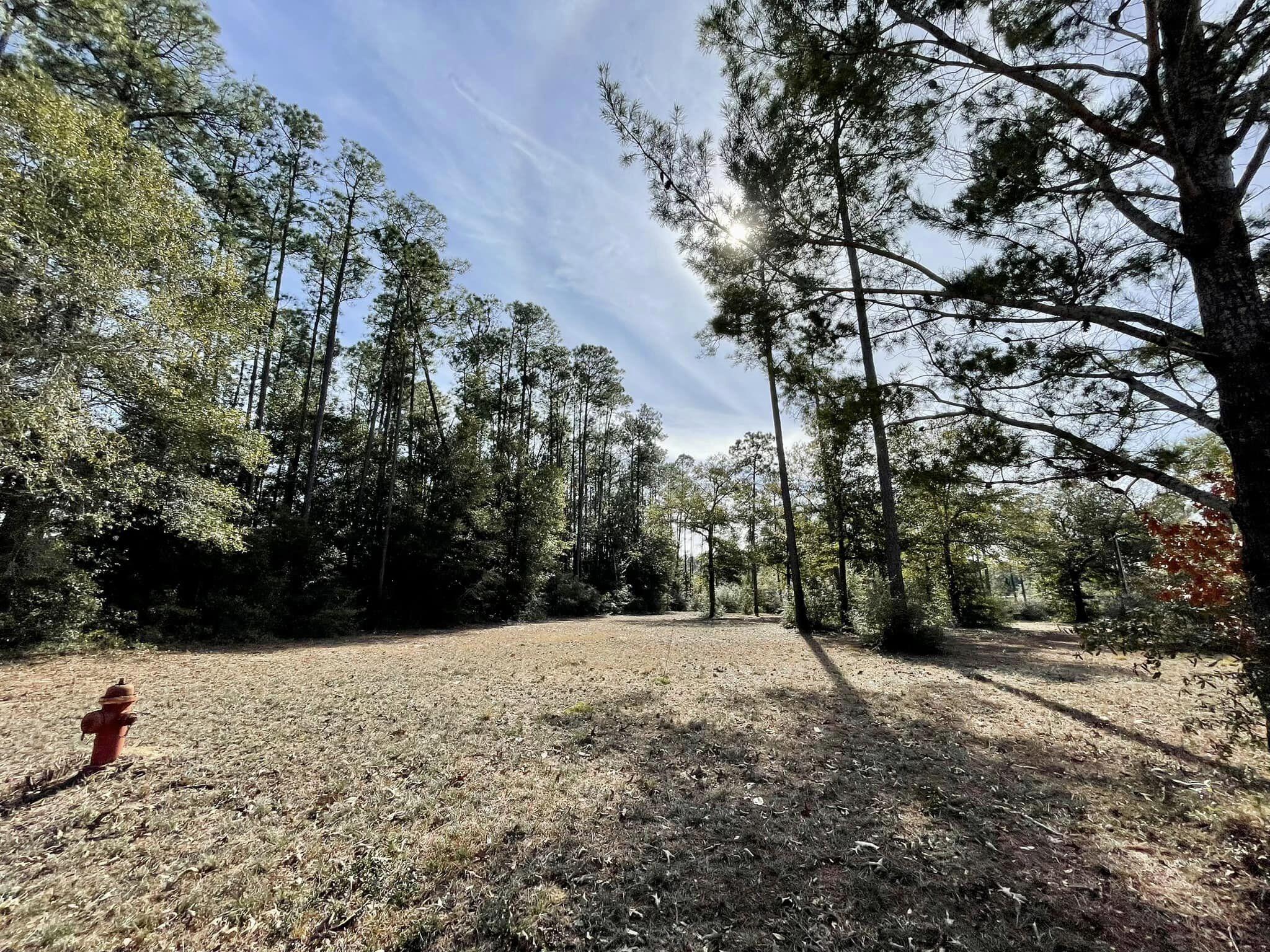 574 Ruckel Drive DeFuniak Springs, FL 32433 - Photo 1 of 9 5