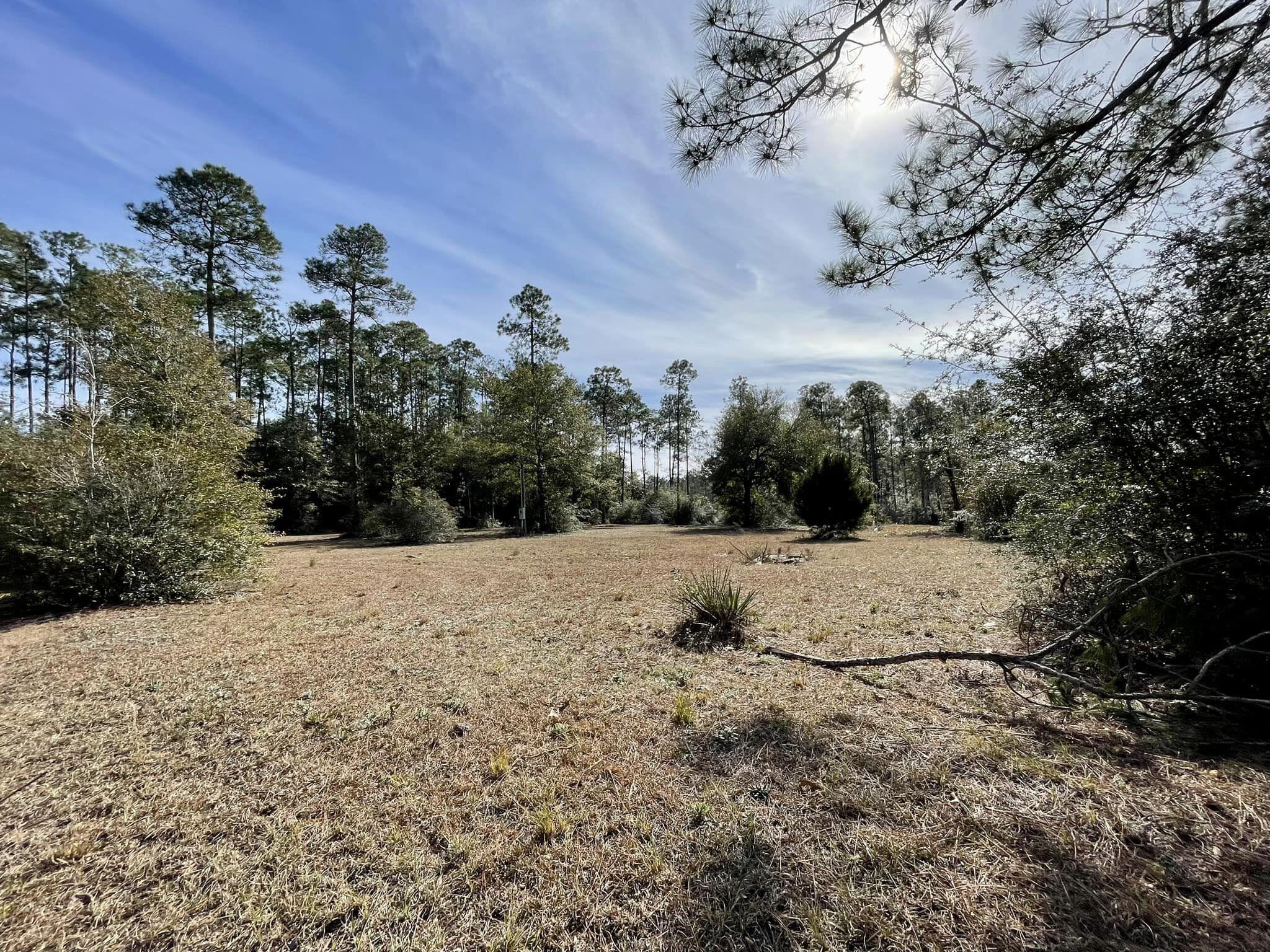 574 Ruckel Drive DeFuniak Springs, FL 32433 - Photo 6 of 9 2
