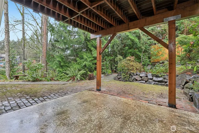 a view of a backyard with floor to ceiling window plants and trees