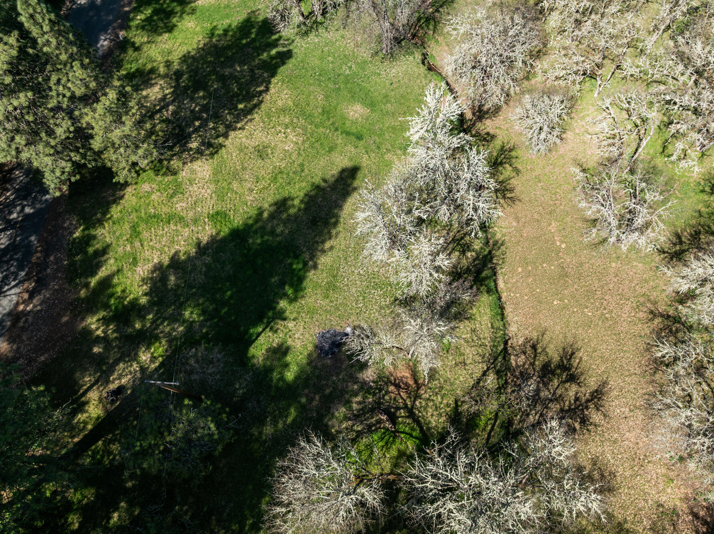 1237 Daisy Creek Road Jacksonville, OR 97530 - Photo 16 of 31 1237-daisy-creek-rd-dr-27