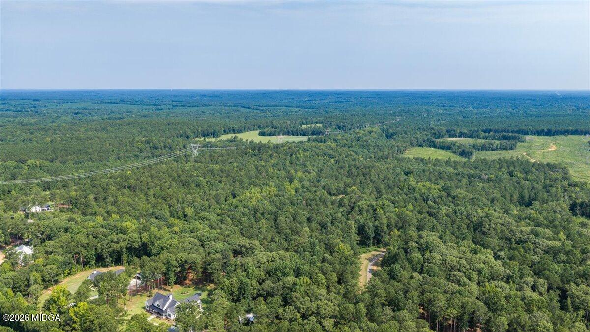 252 Rum Creek Road Juliette, GA 31046 - Photo 58 of 72 37-DJI_20260728224930_0005_D