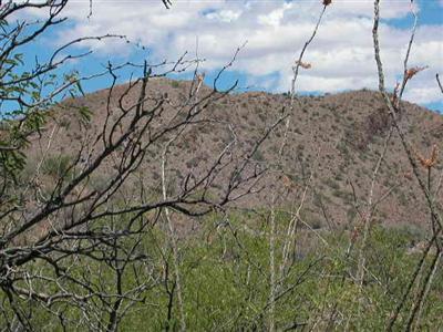 200 Canyon Pass Court Rio Rico, AZ 85648 - Photo 7 of 7