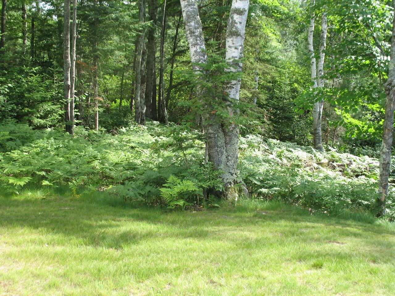 5806 North Timber Wolf Ridge Road Mercer, WI 54547 - Photo 66 of 66 Gallery Image 66