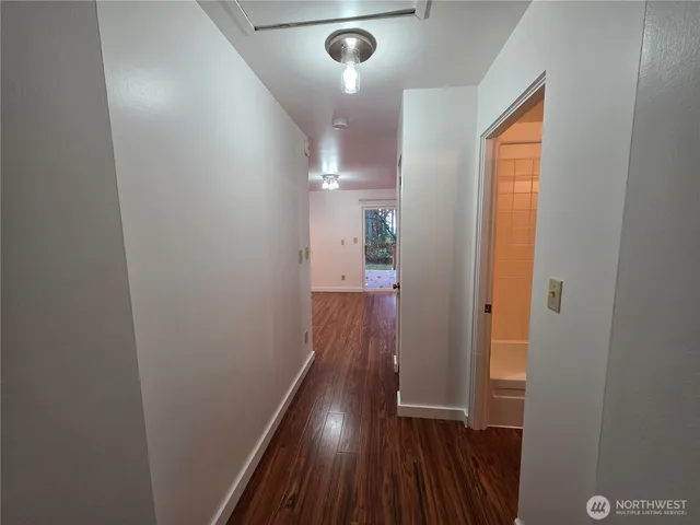 a view of a garden with plants and large trees