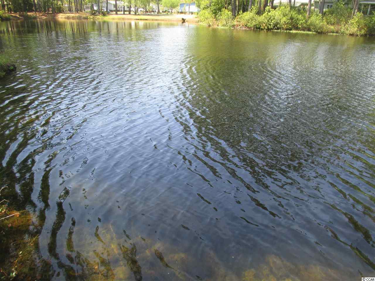 905 Jasmine Circle Murrells Inlet, SC 29576 - Photo 27 of 27 Gallery Image 27