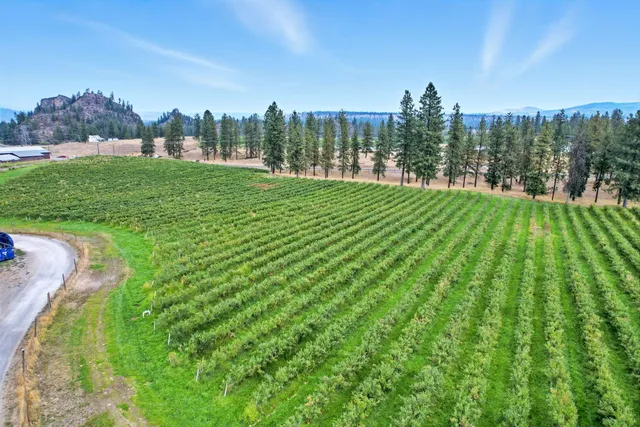 $6,750,000 | 38278 Angels Landing Road North, Ford, WA 99013