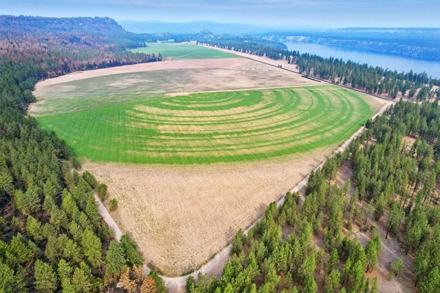 $6,750,000 | 38278 Angels Landing Road North, Ford, WA 99013